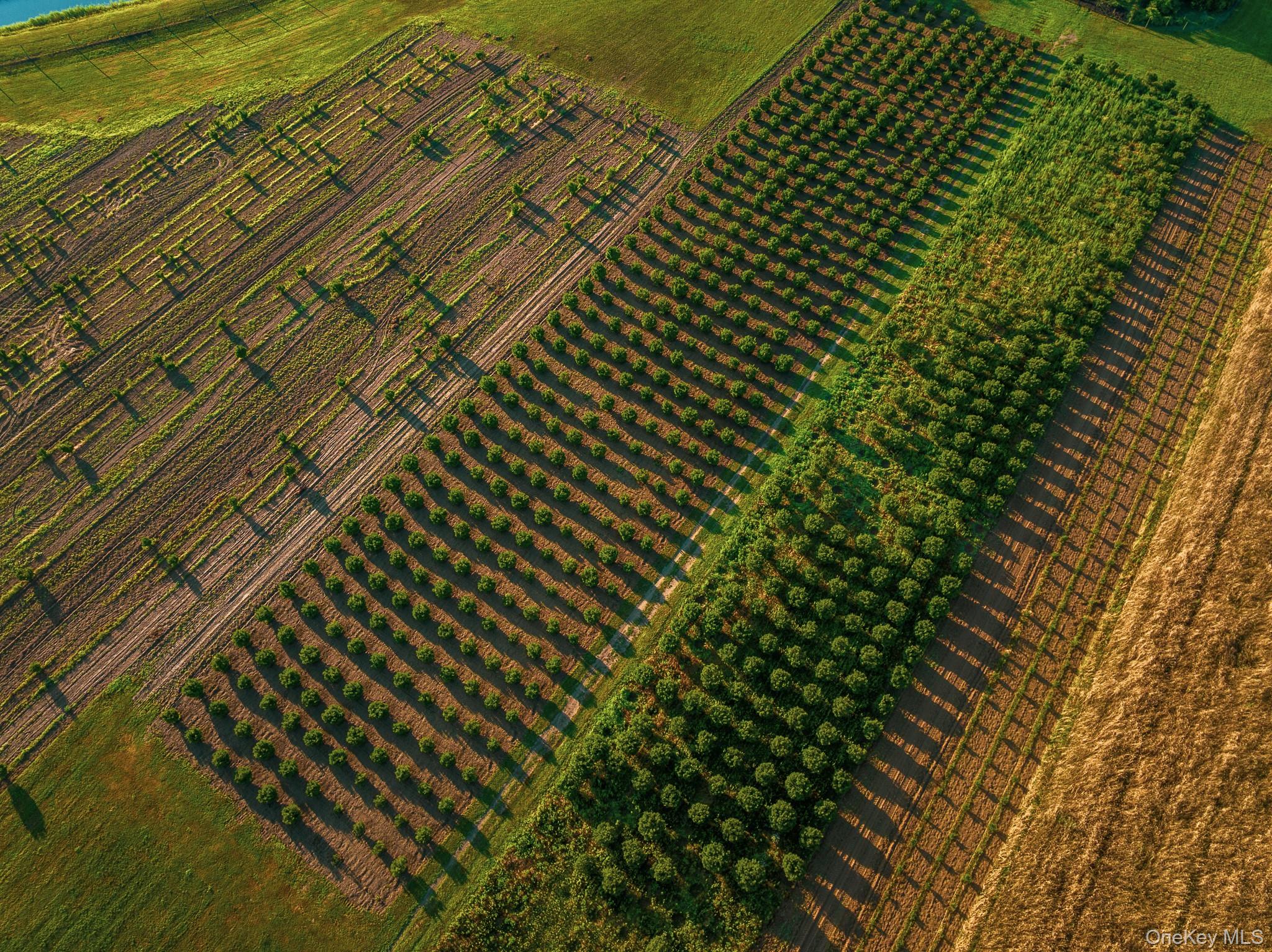 34600, 34750 & 34920 Route 25, Orient, NY 11957