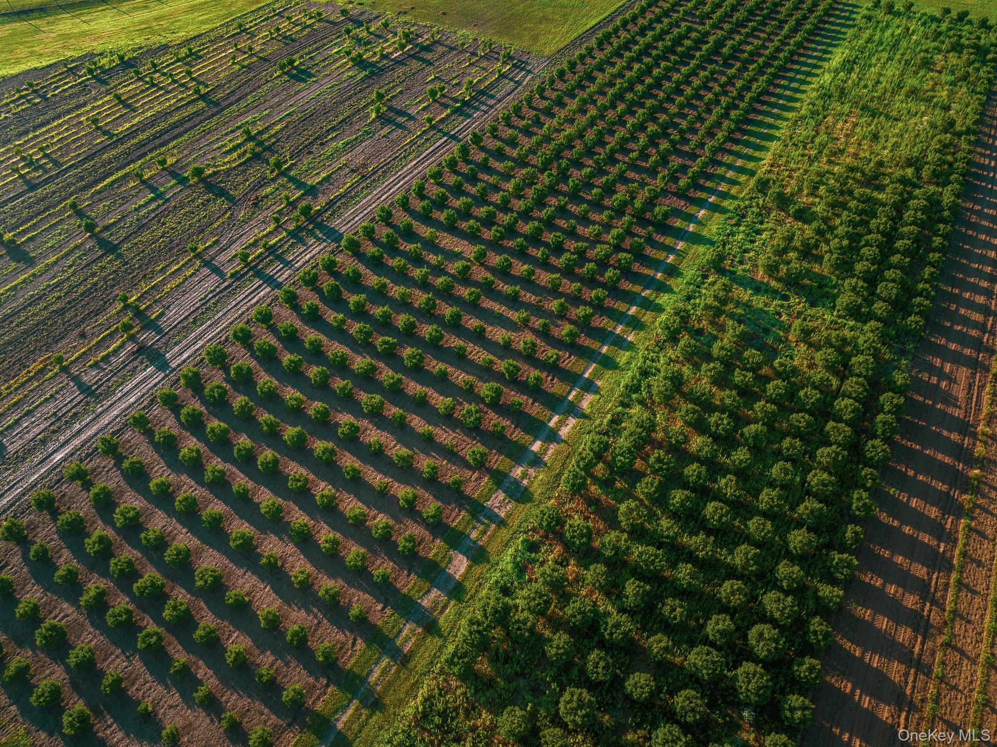 34600, 34750 & 34920 Route 25, Orient, NY 11957