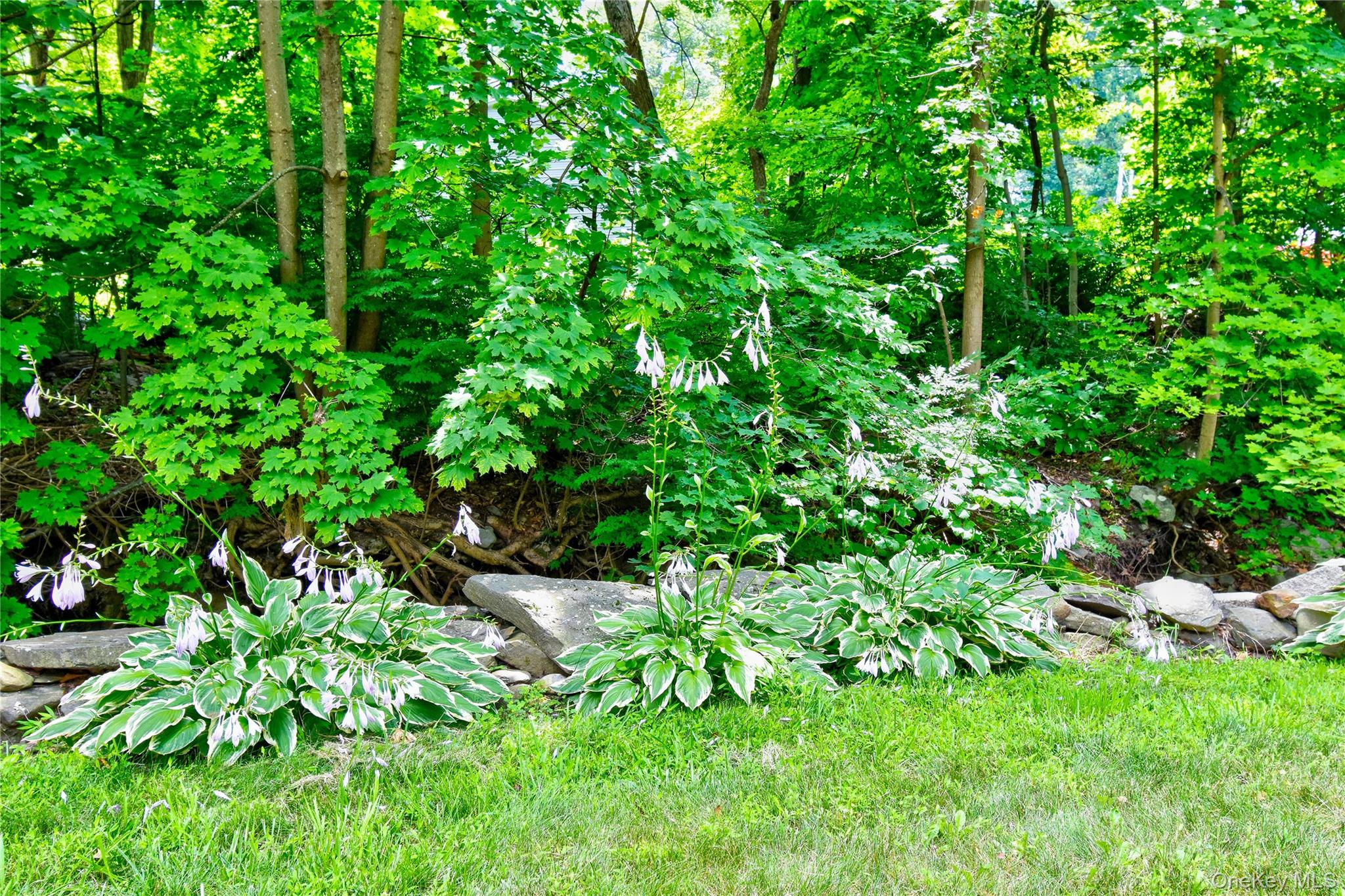 5 Orchard Trail, Monroe, NY 10950