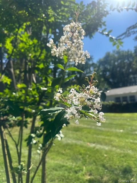 2 Soundview Drive, Port Jefferson, NY 11777