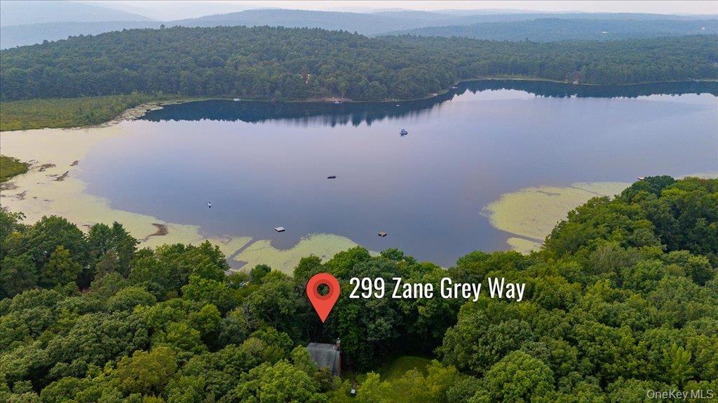 299 Zane Grey Way, Barryville, NY 12719
