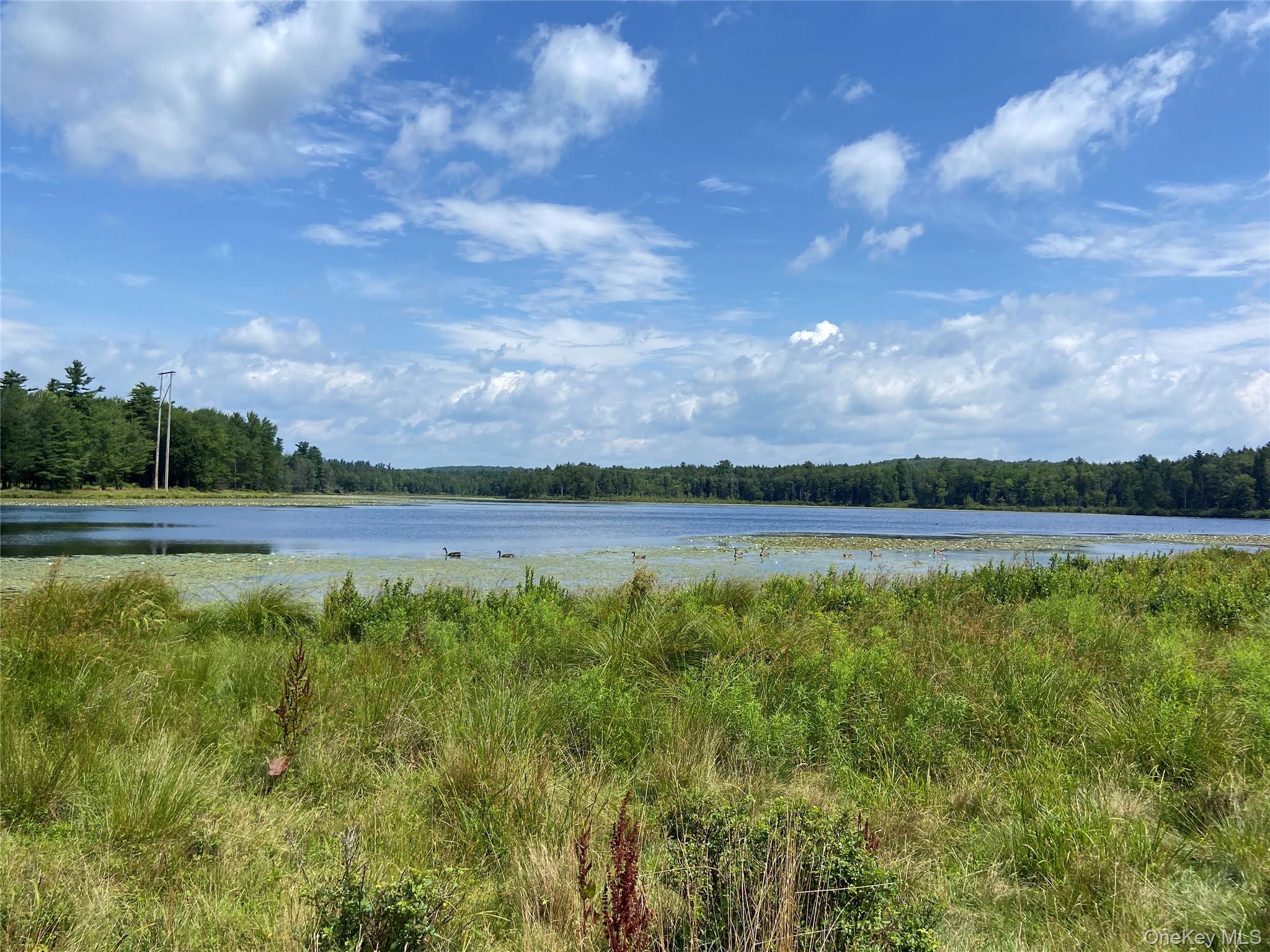 15 Bailey Lake Road, Kiamesha Lake, NY 12751