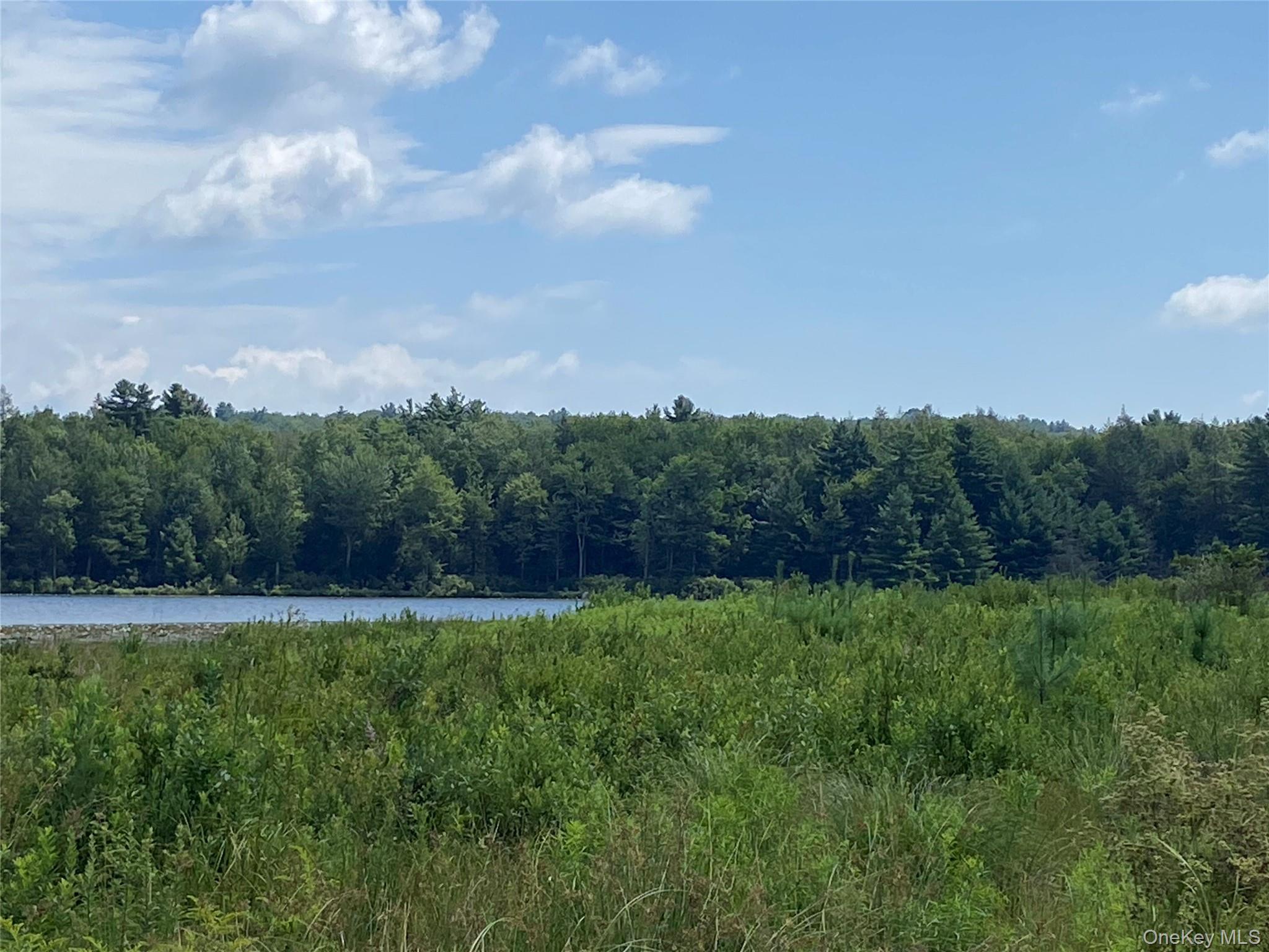 15 Bailey Lake Road, Kiamesha Lake, NY 12751