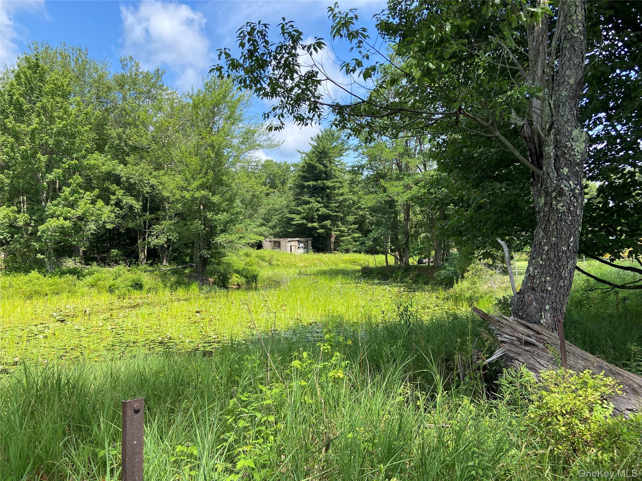 15 Bailey Lake Road, Kiamesha Lake, NY 12751