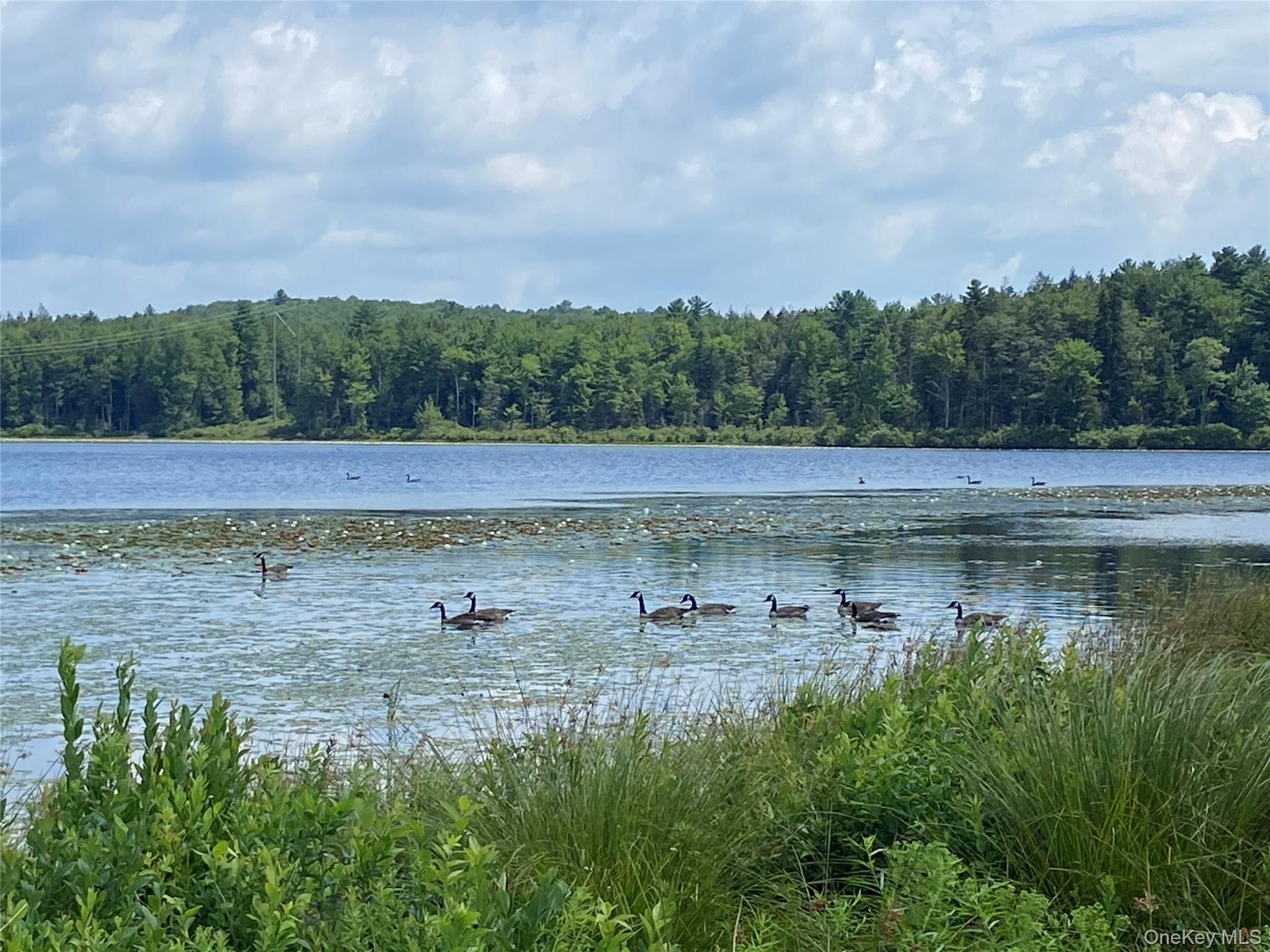 15 Bailey Lake Road, Kiamesha Lake, NY 12751