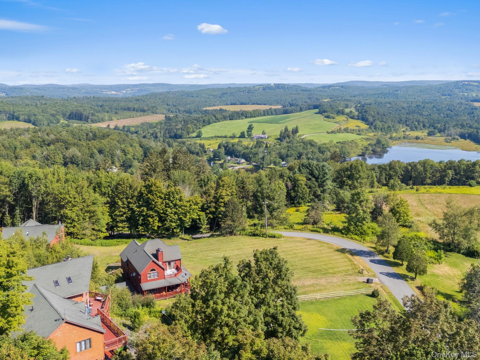 969 Hurd Road, Swan Lake, NY 12783