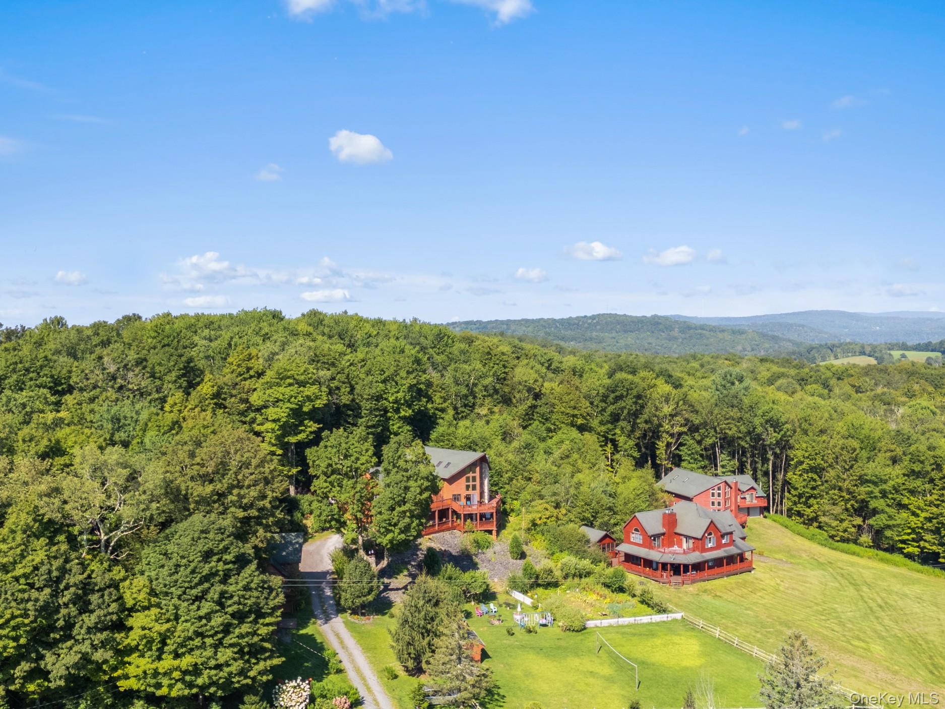 969 Hurd Road, Swan Lake, NY 12783