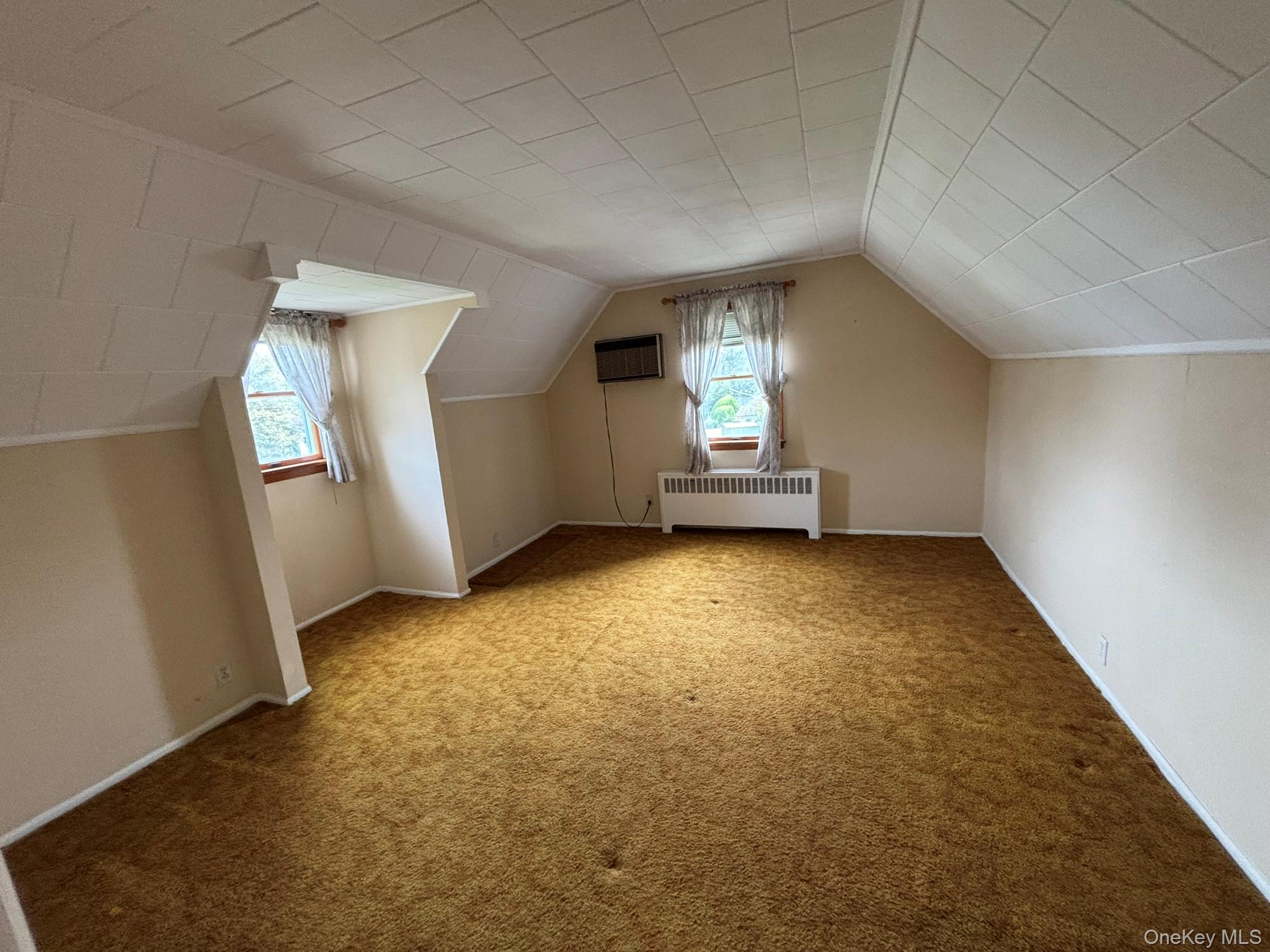 166 Evans Street, New Hyde Park, NY 11040