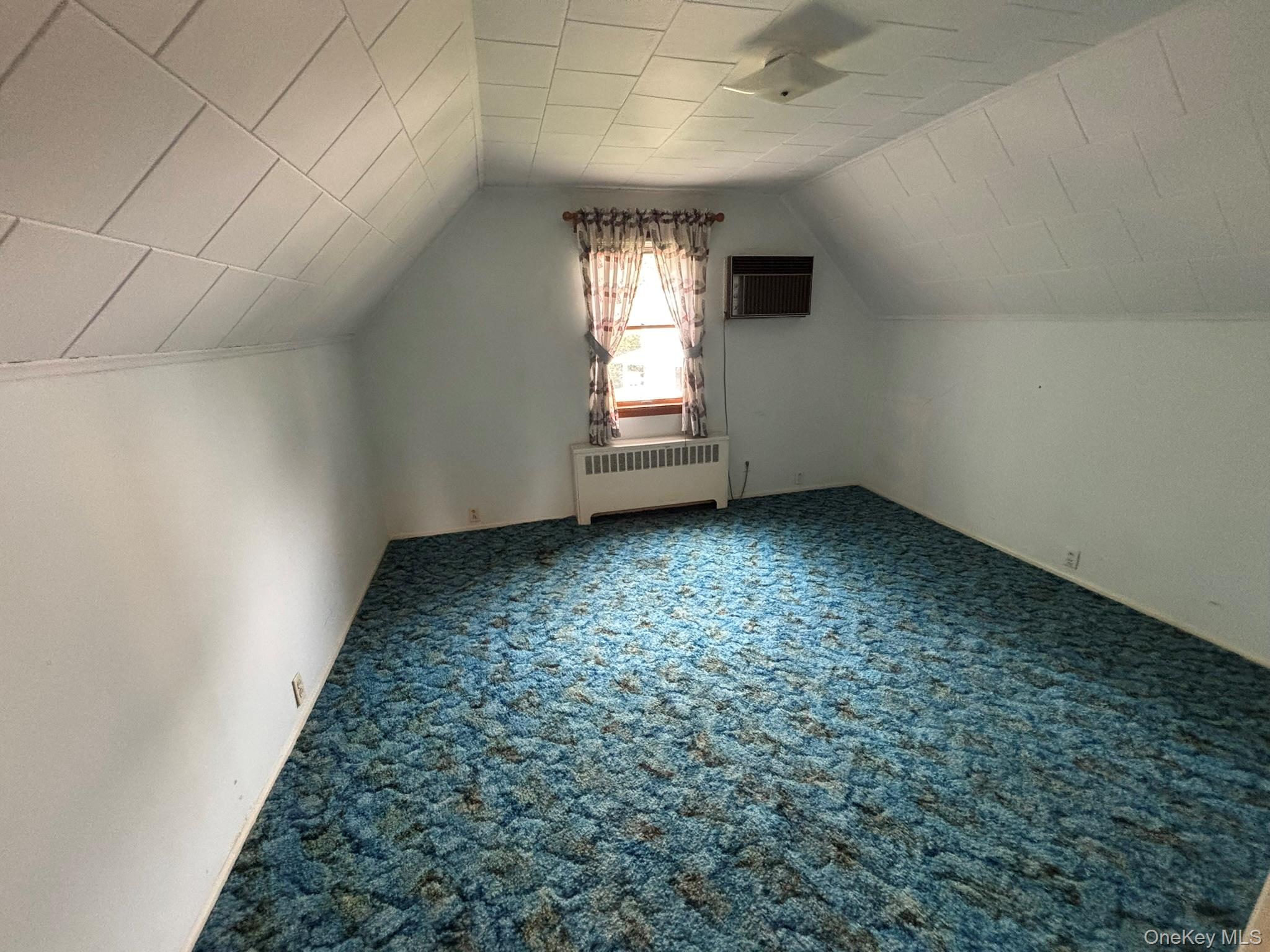 166 Evans Street, New Hyde Park, NY 11040