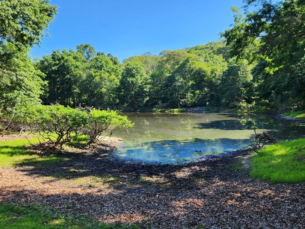 21 W Bartlett Road, Middle Island, NY 11953