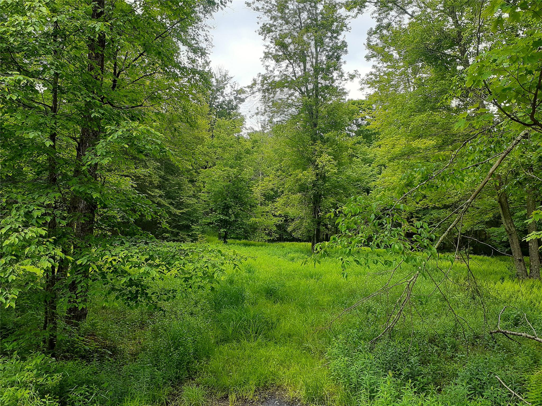 1407 Eminence Road, East Branch, NY 13756