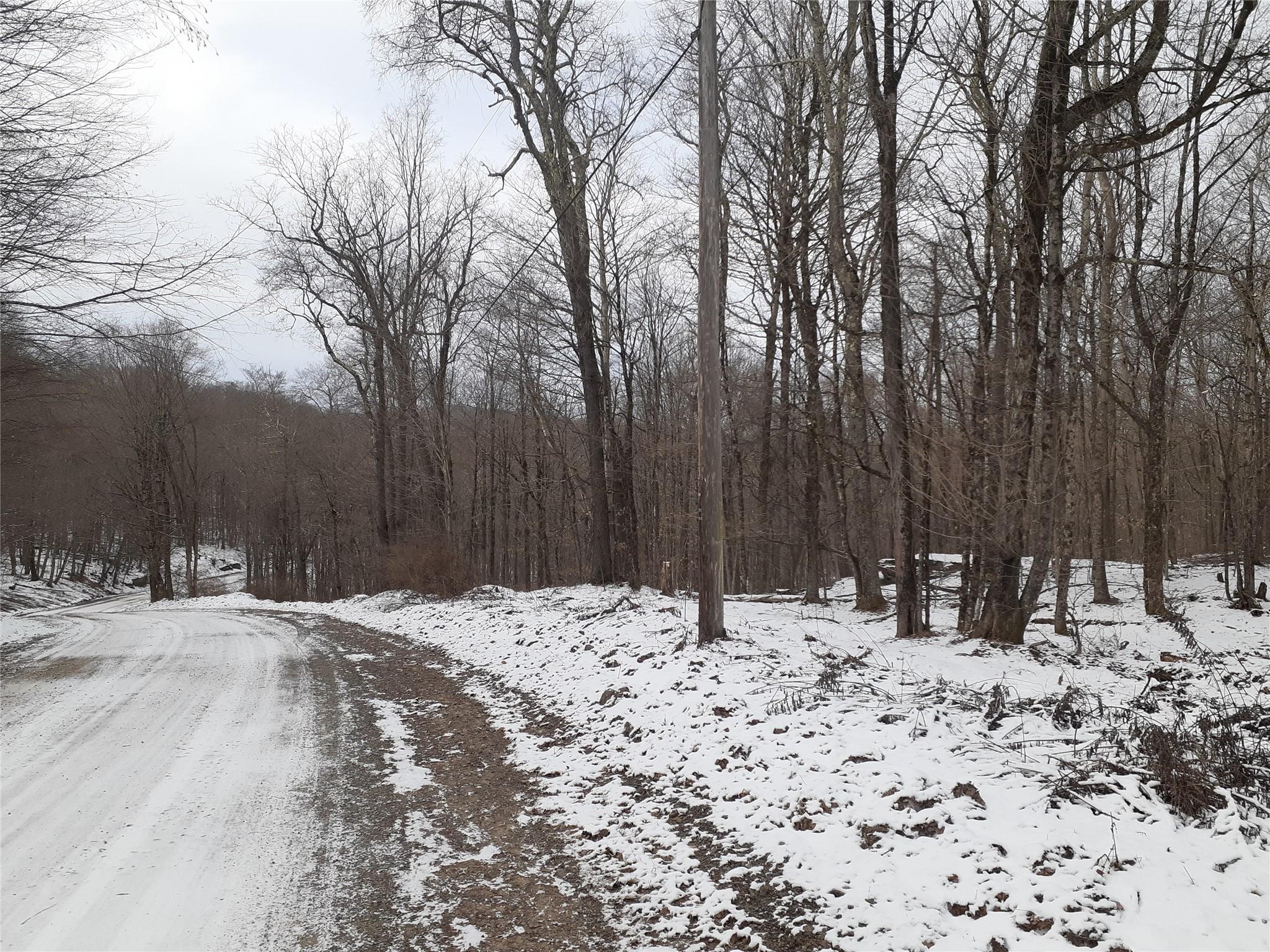 1407 Eminence Road, East Branch, NY 13756