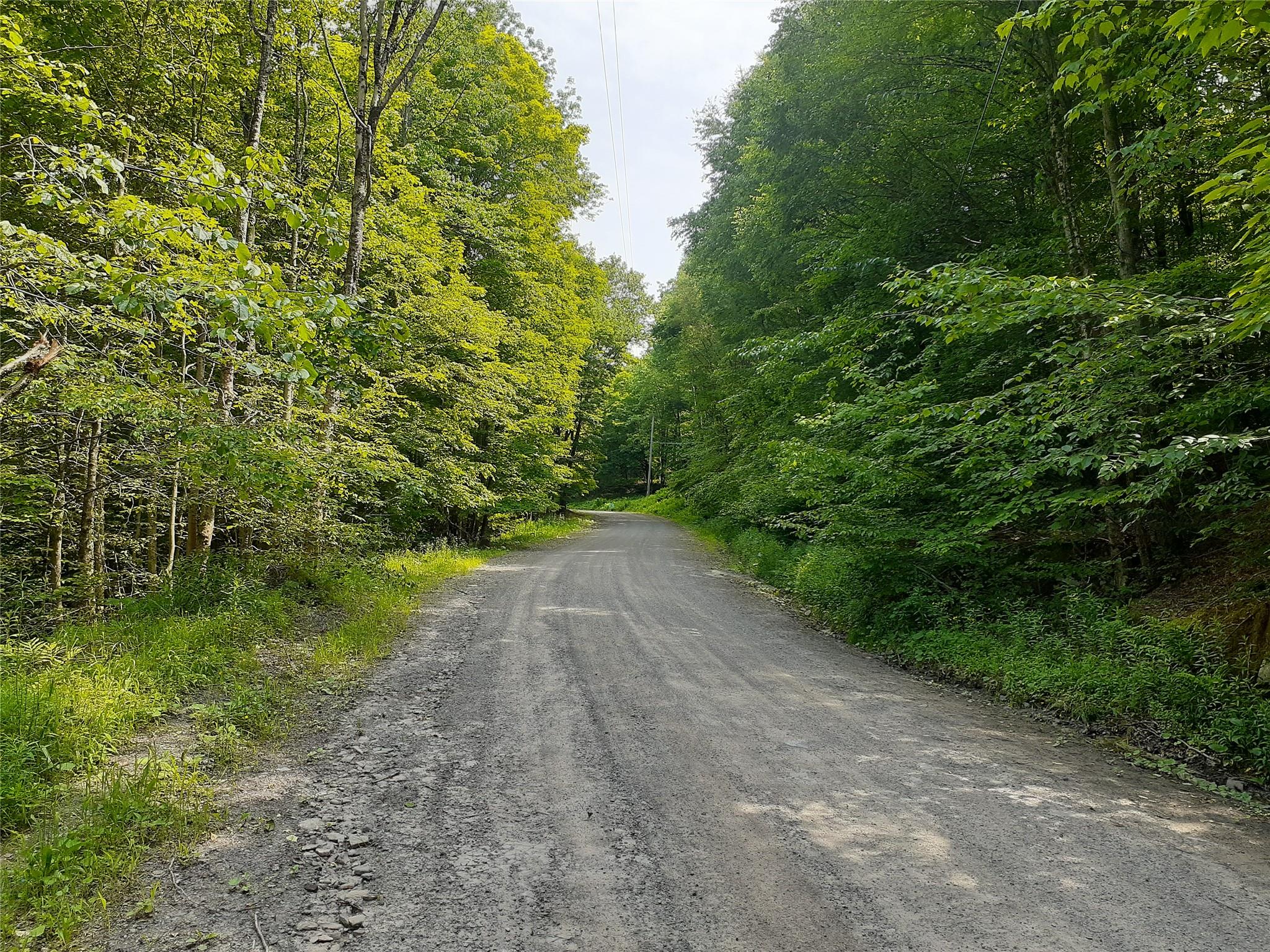 1407 Eminence Road, East Branch, NY 13756