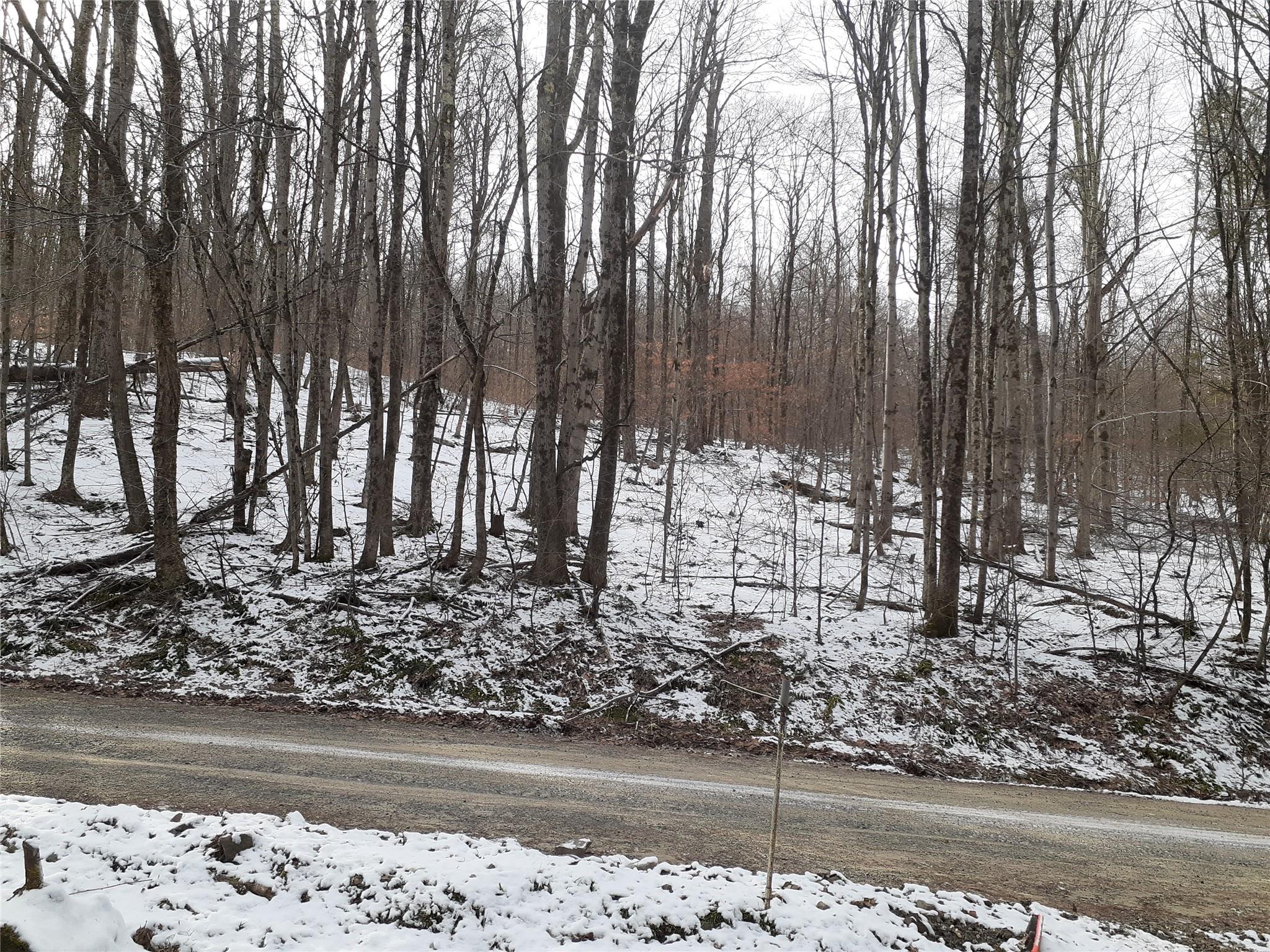 1407 Eminence Road, East Branch, NY 13756