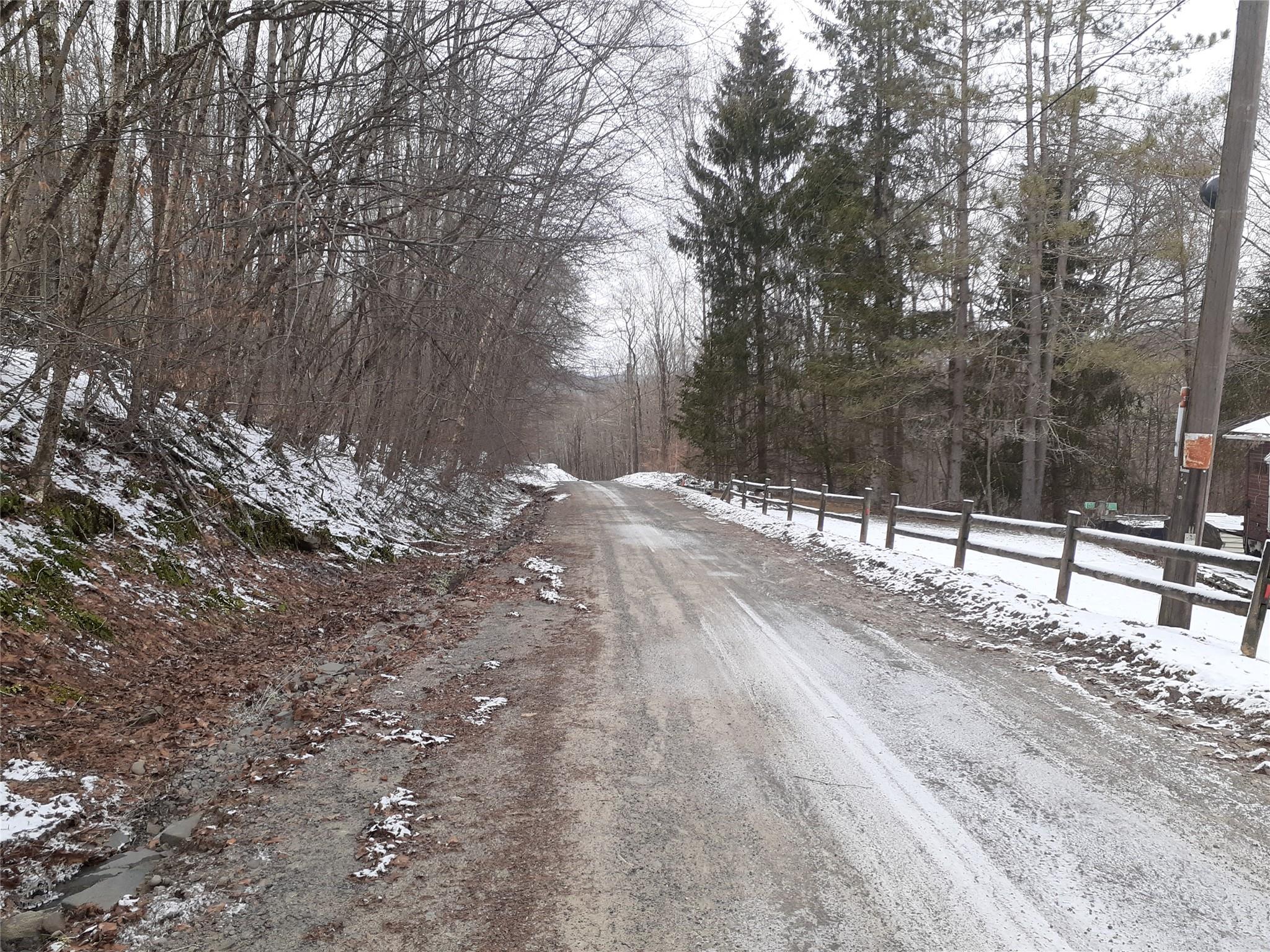 1407 Eminence Road, East Branch, NY 13756