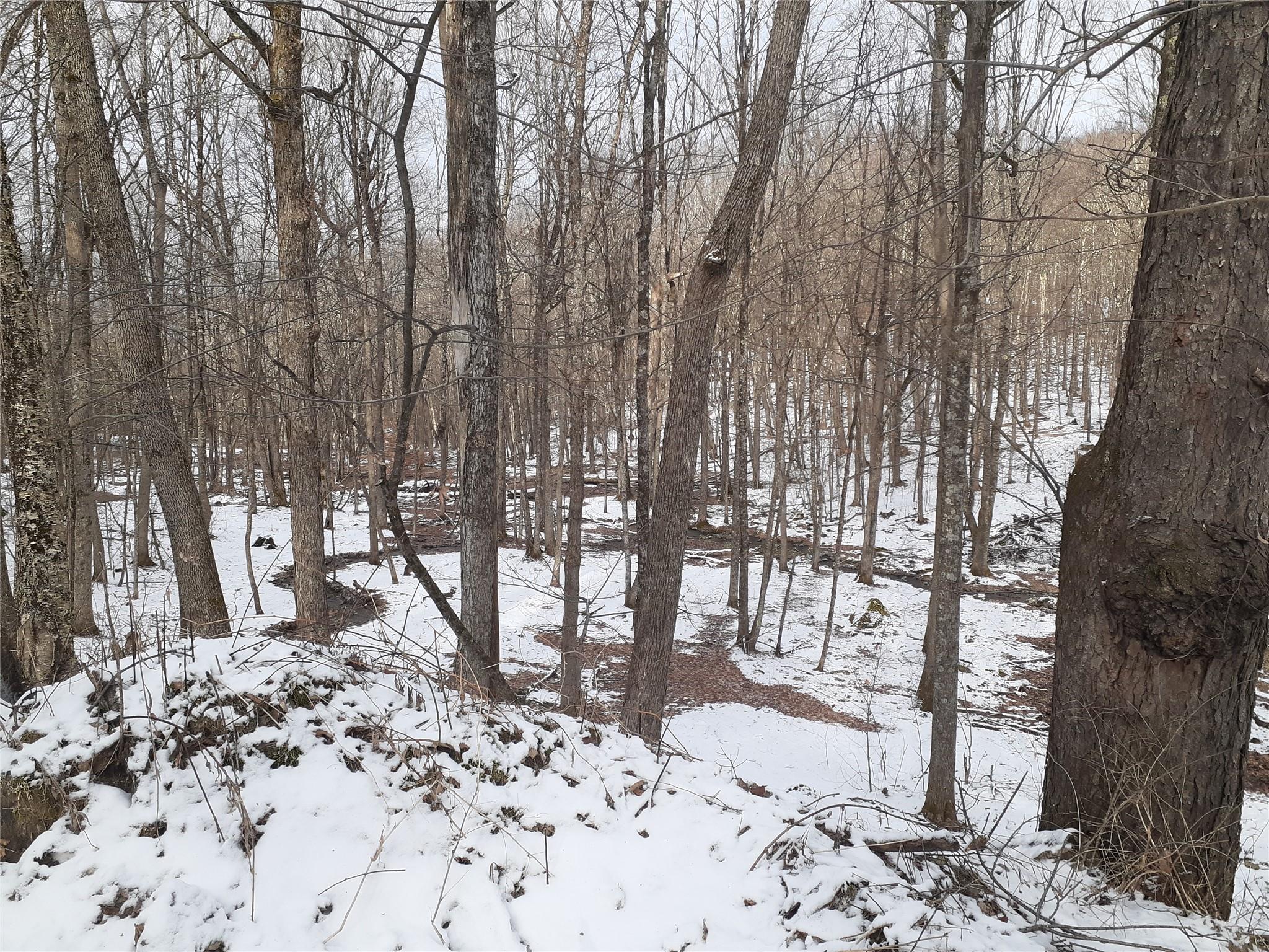 1407 Eminence Road, East Branch, NY 13756