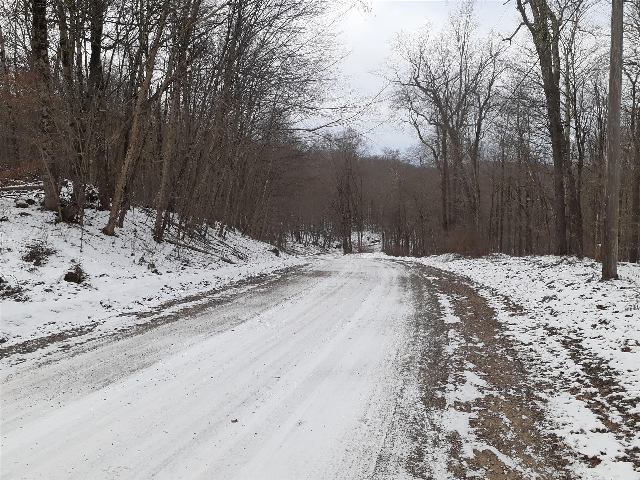 1407 Eminence Road, East Branch, NY 13756