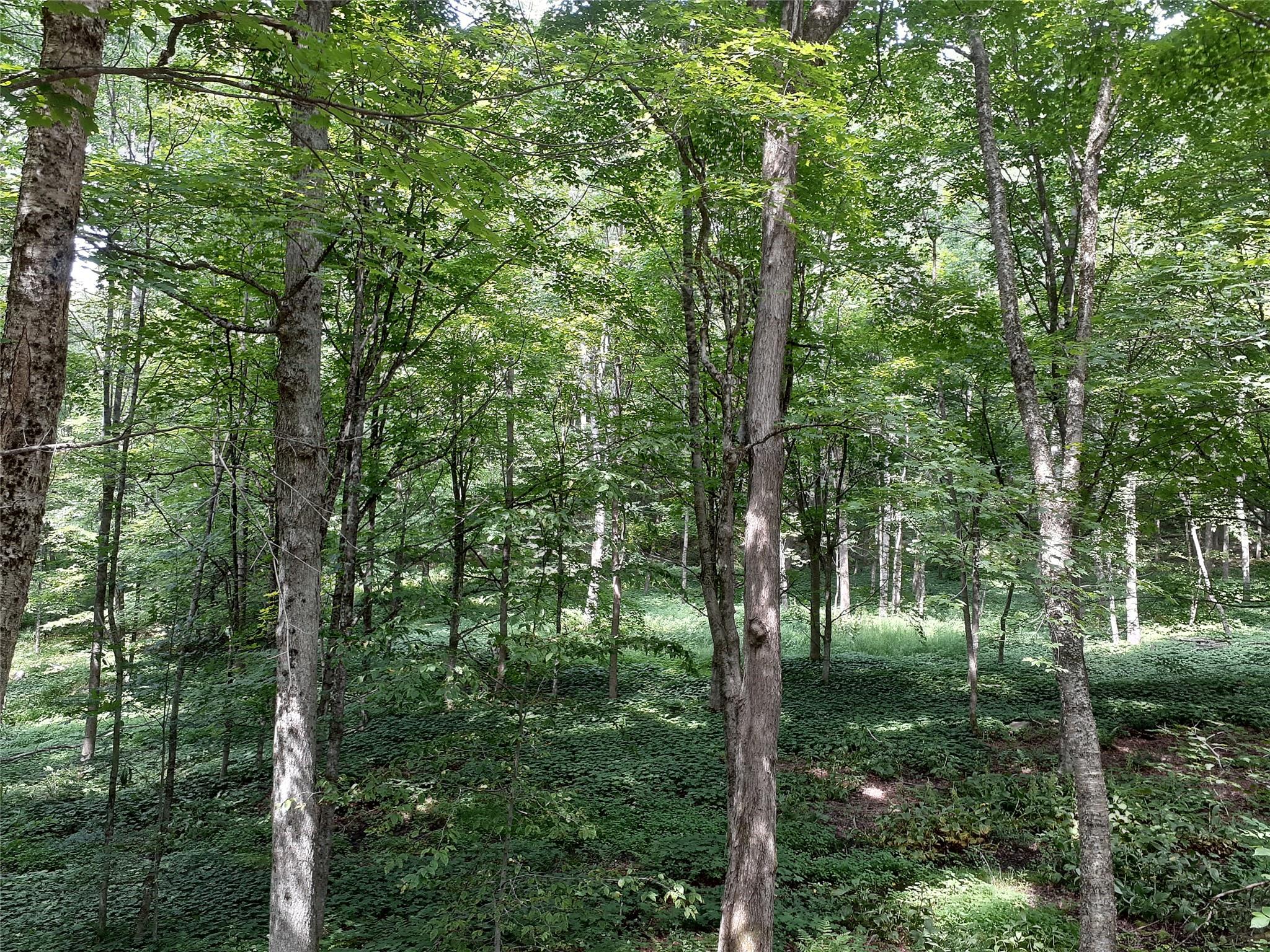 1407 Eminence Road, East Branch, NY 13756