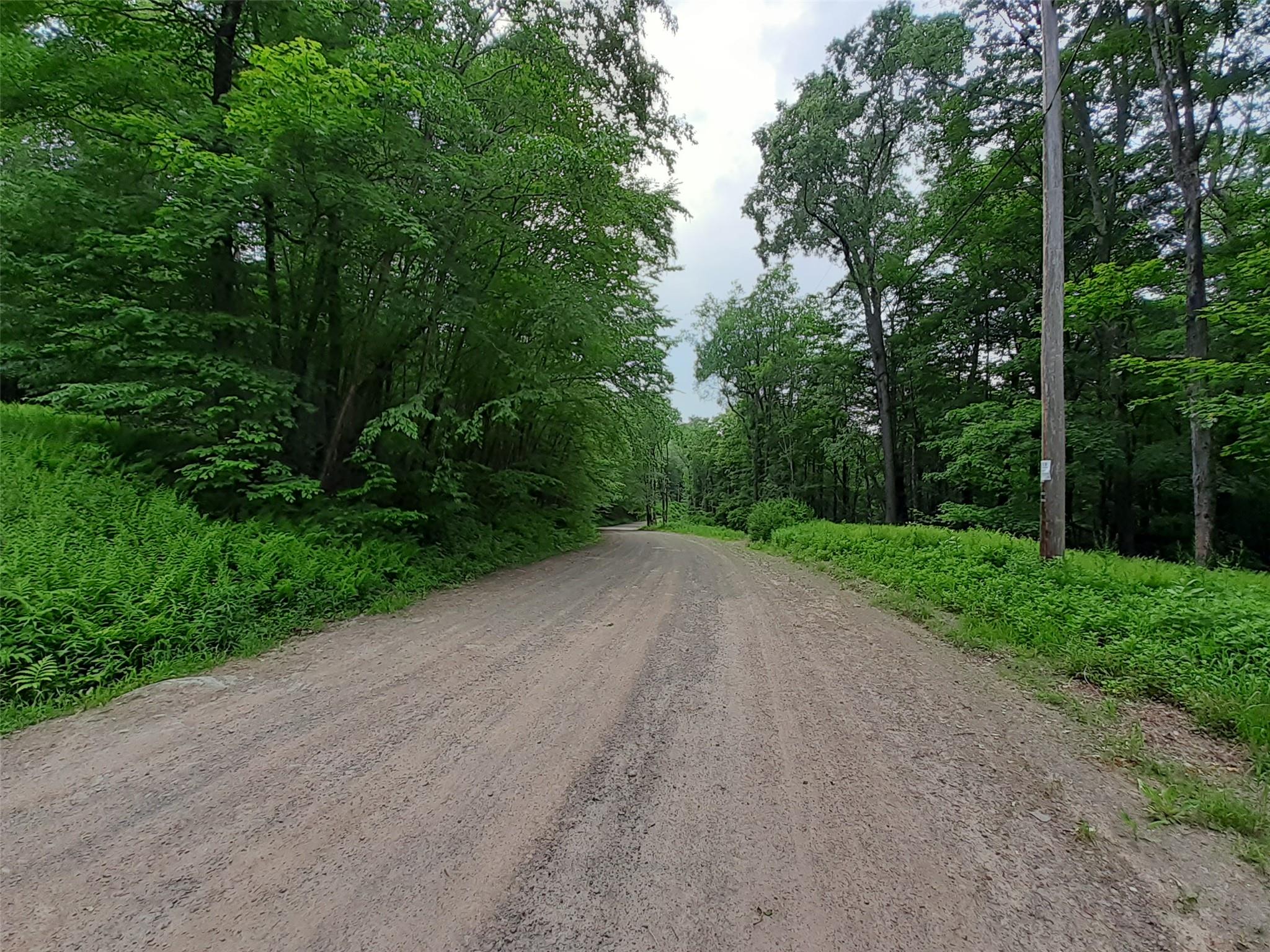 1407 Eminence Road, East Branch, NY 13756