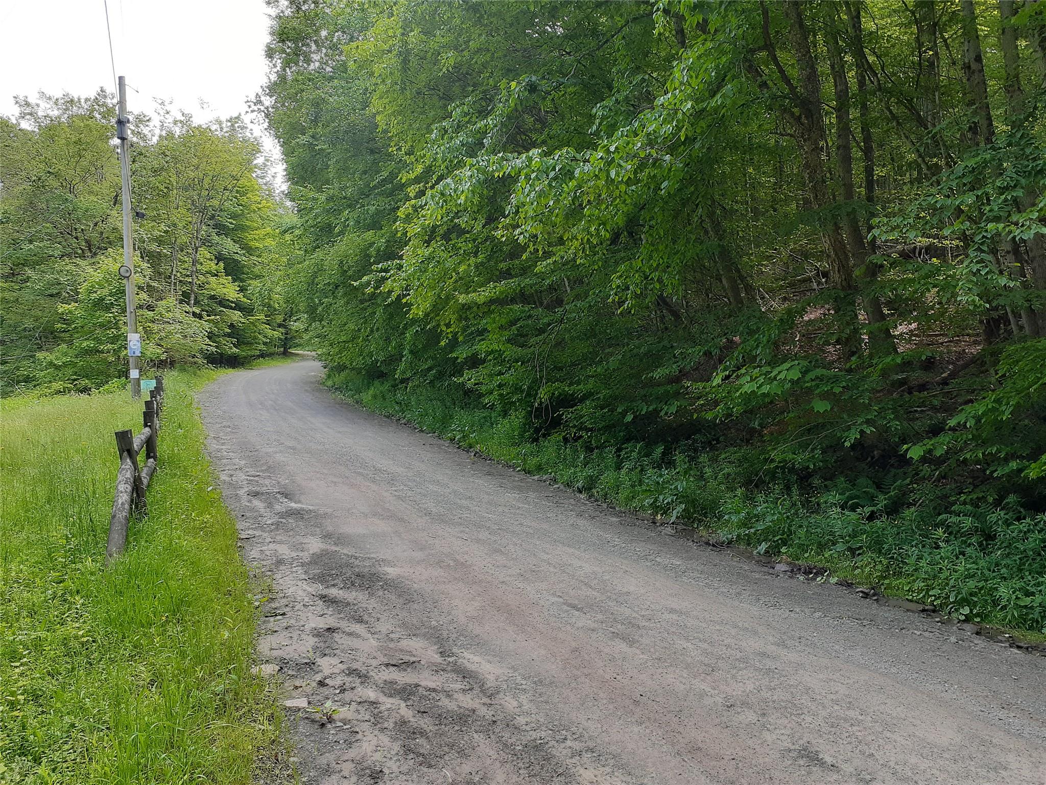 1407 Eminence Road, East Branch, NY 13756