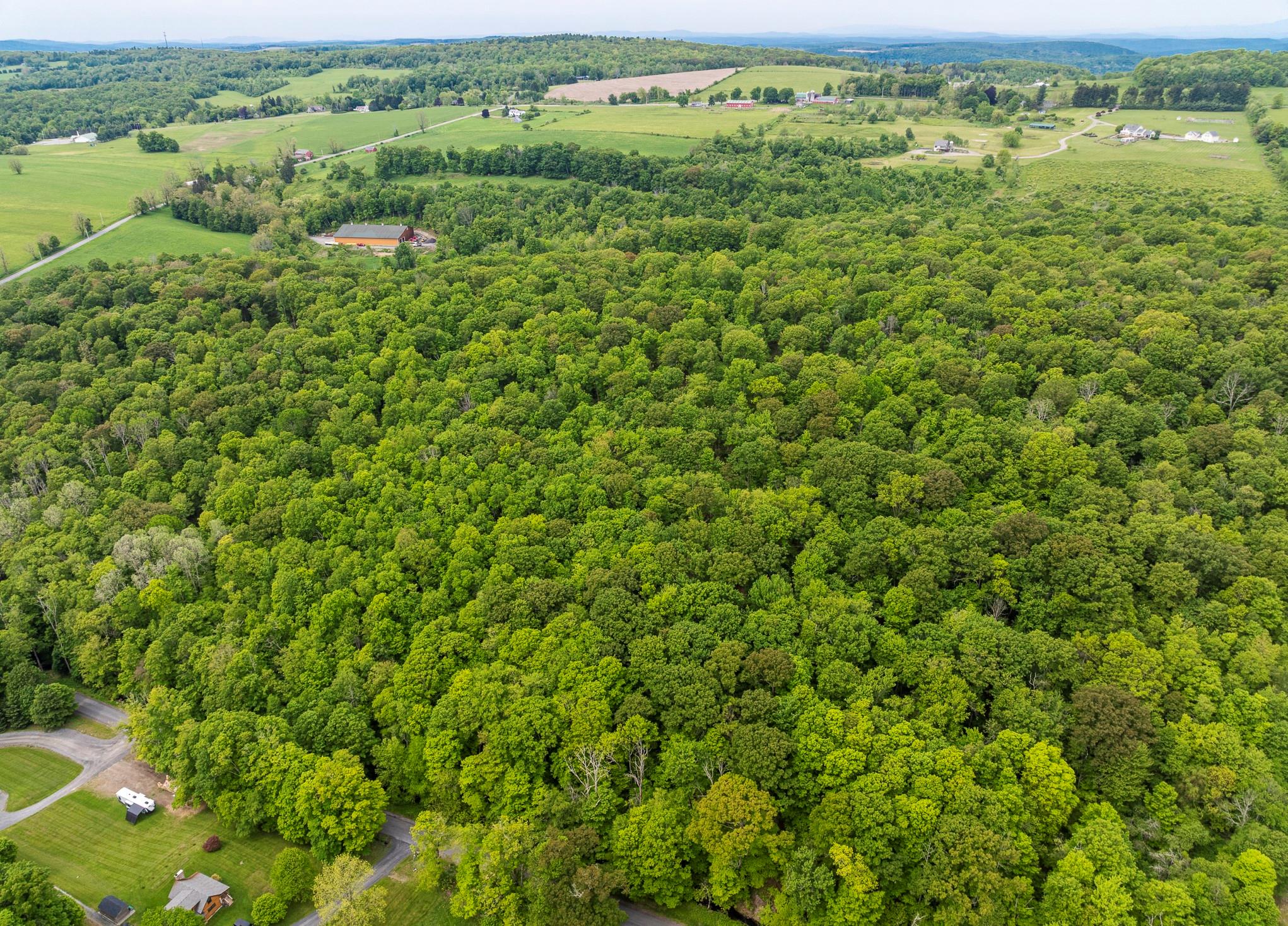 A Skunks Misery Road, Millerton, NY 12546