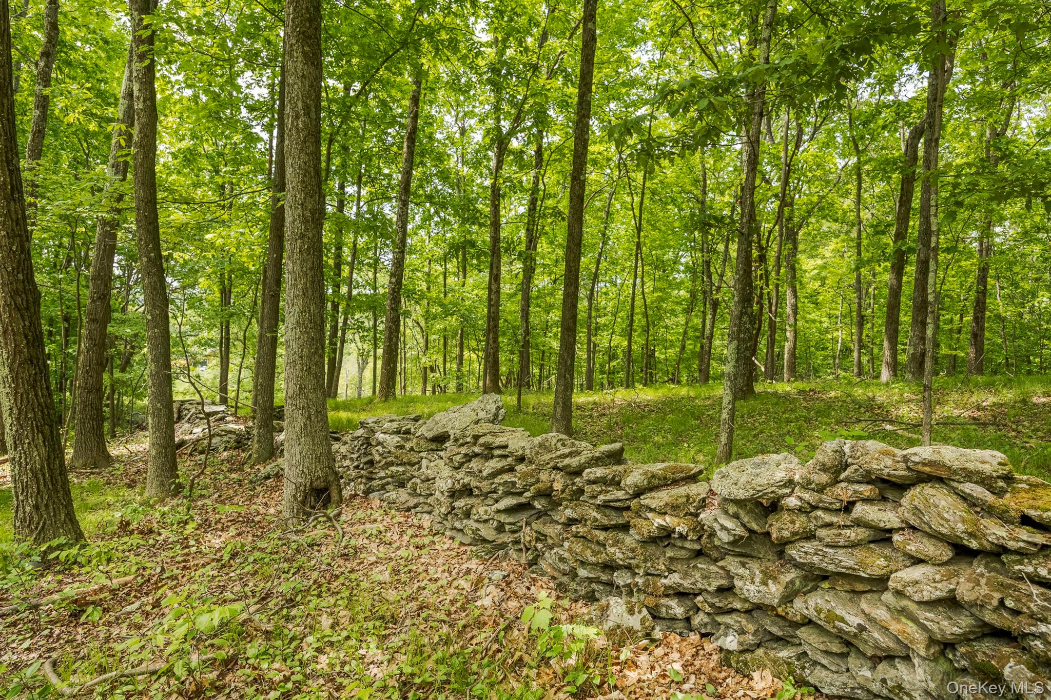 A Skunks Misery Road, Millerton, NY 12546