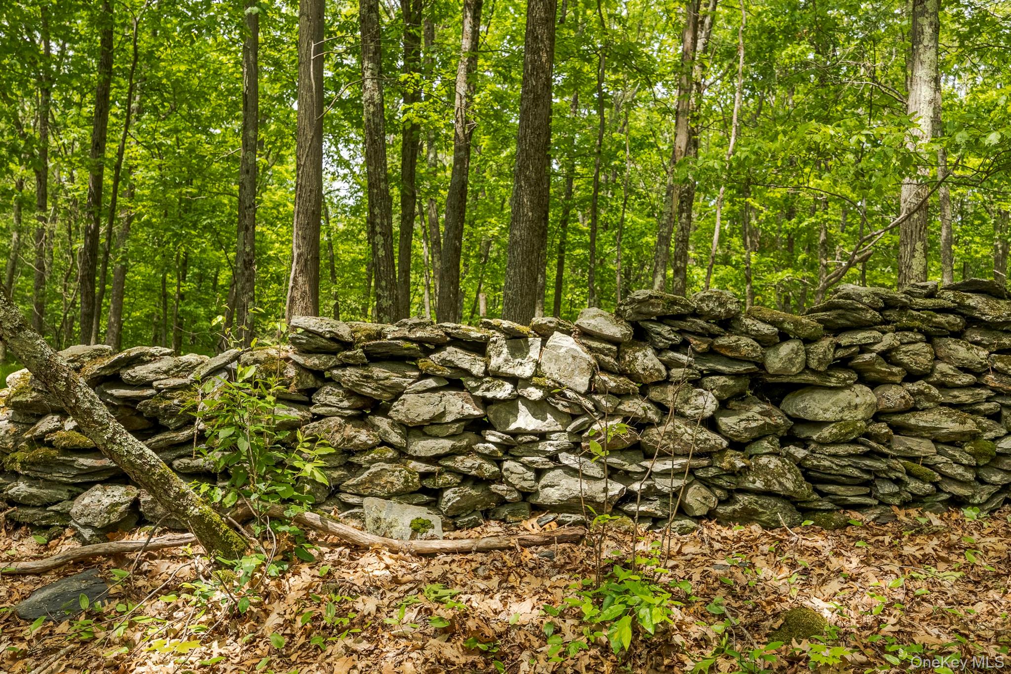 A Skunks Misery Road, Millerton, NY 12546