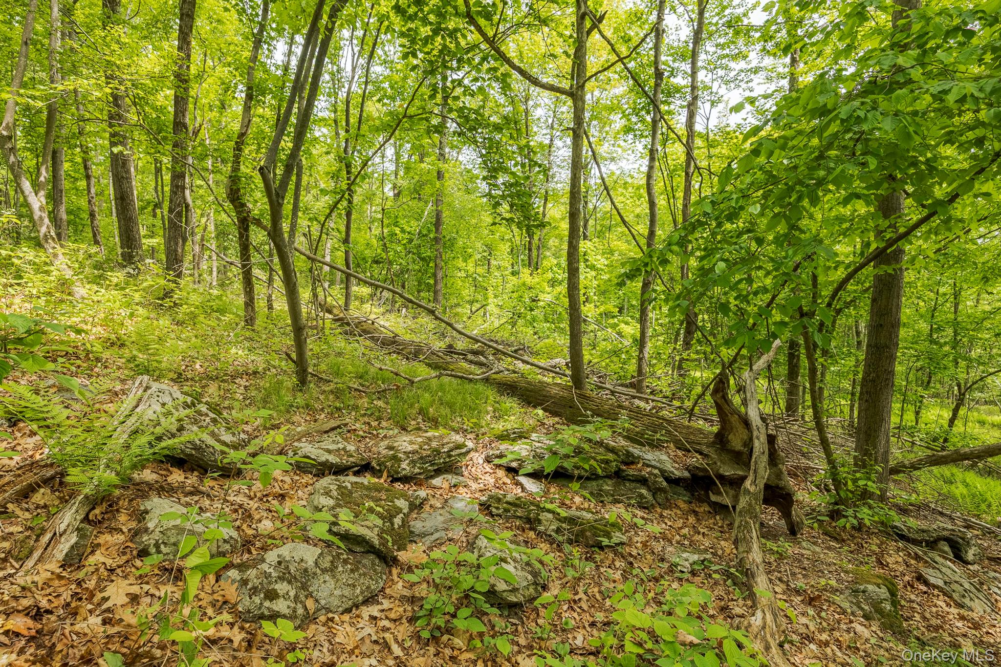 A Skunks Misery Road, Millerton, NY 12546