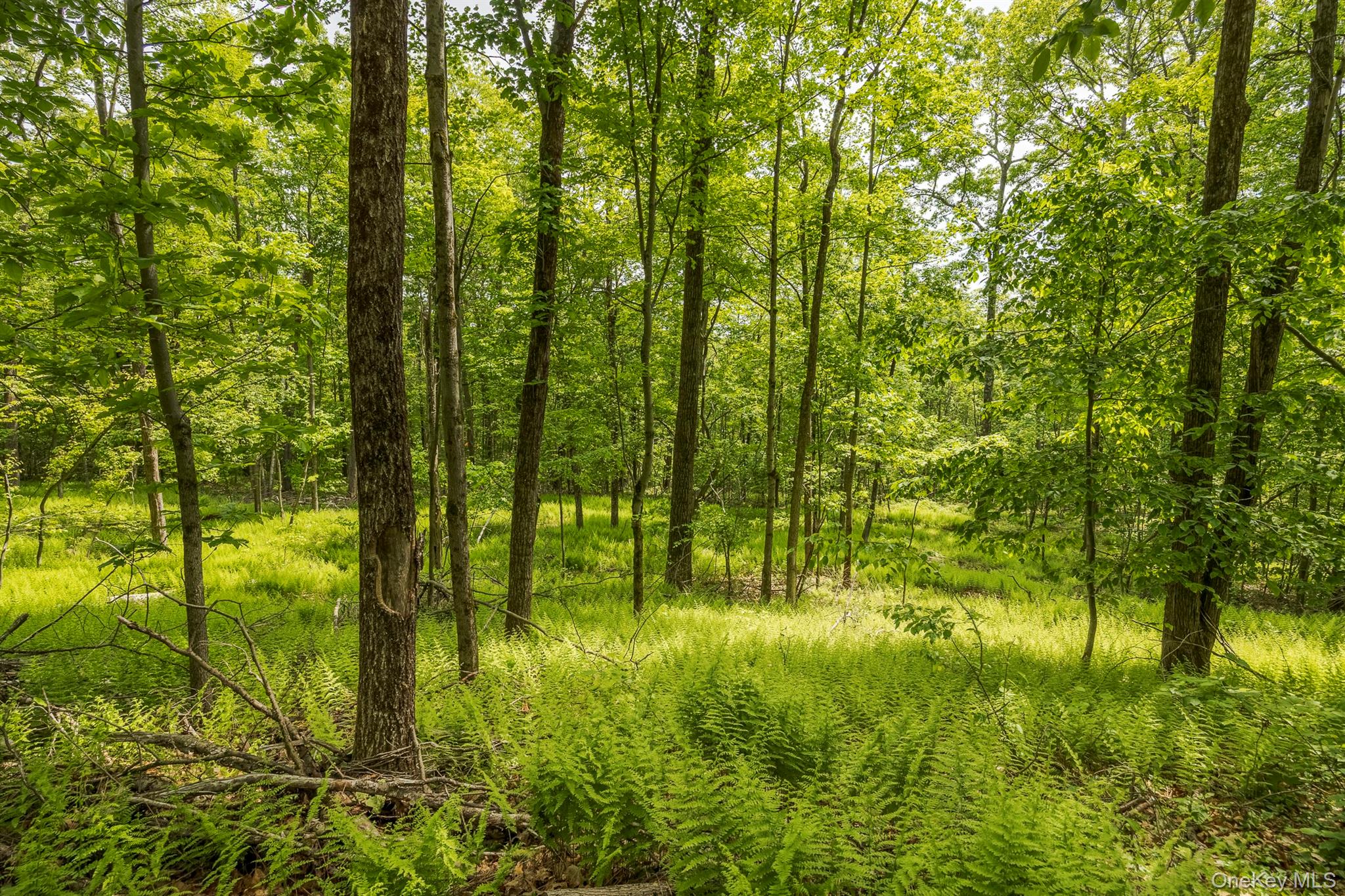 A Skunks Misery Road, Millerton, NY 12546