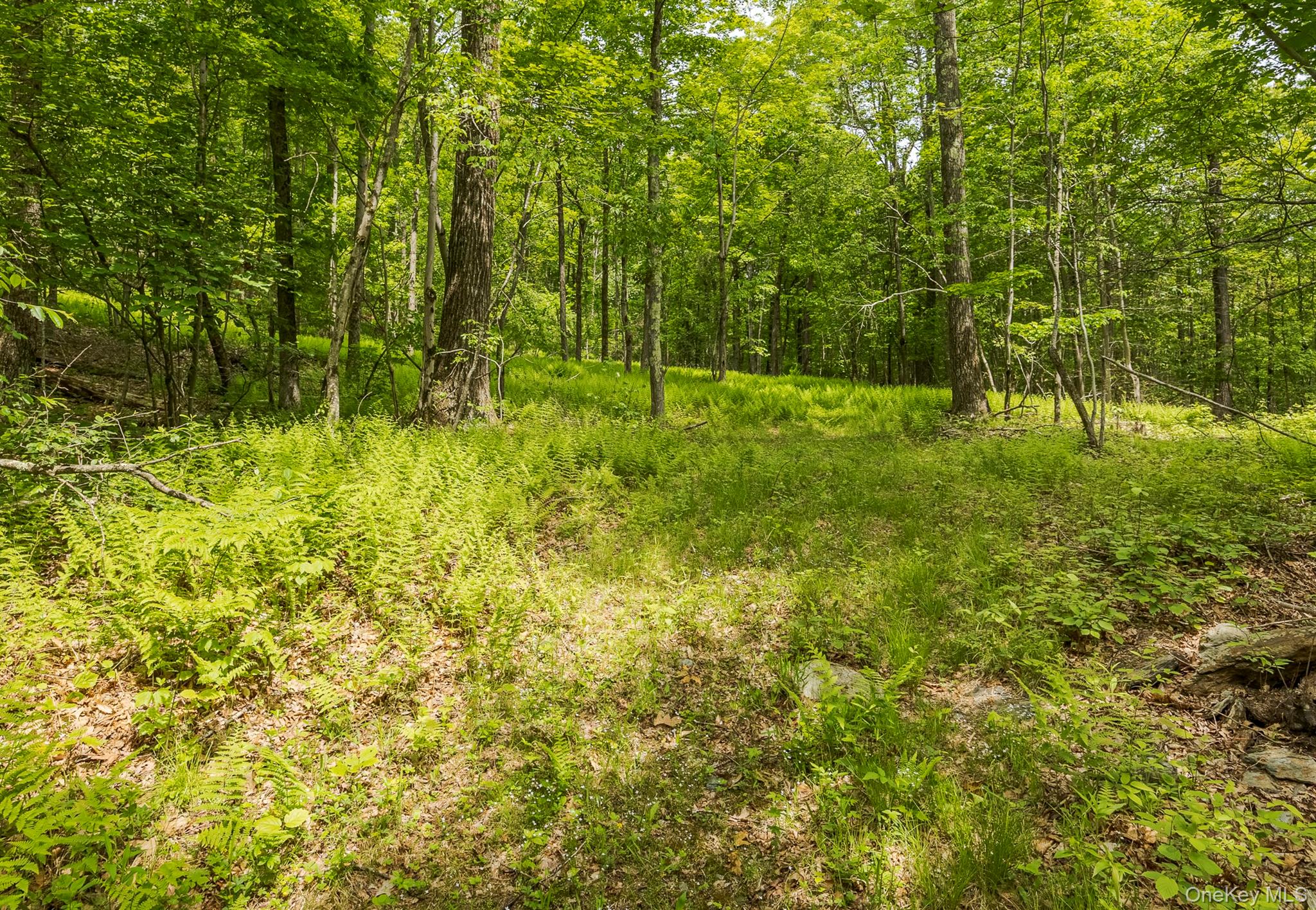 A Skunks Misery Road, Millerton, NY 12546