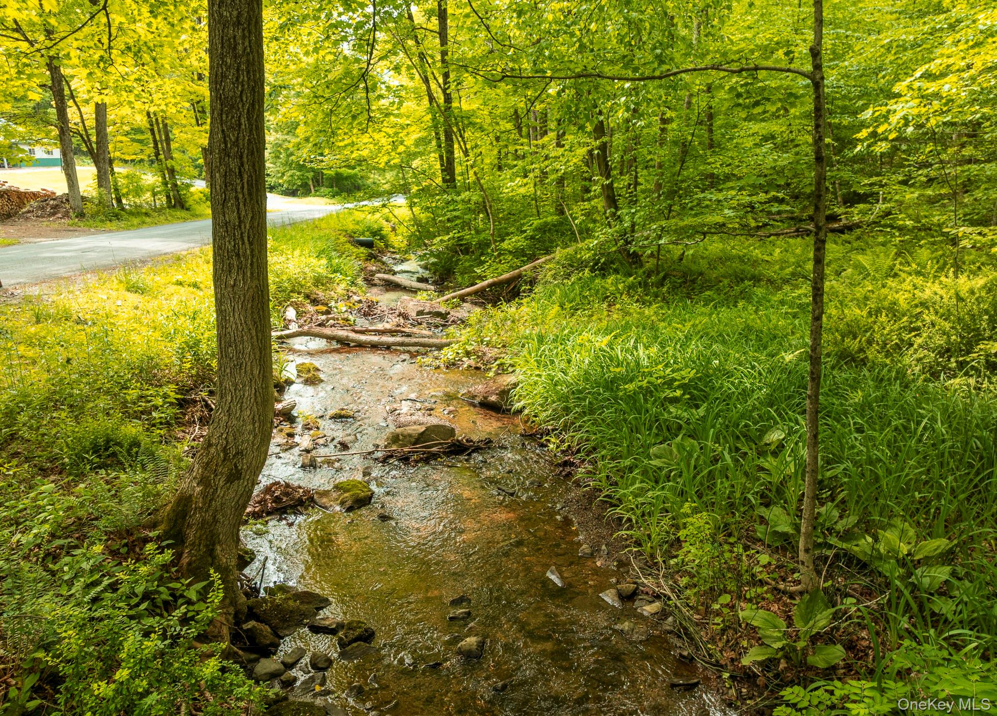 A Skunks Misery Road, Millerton, NY 12546