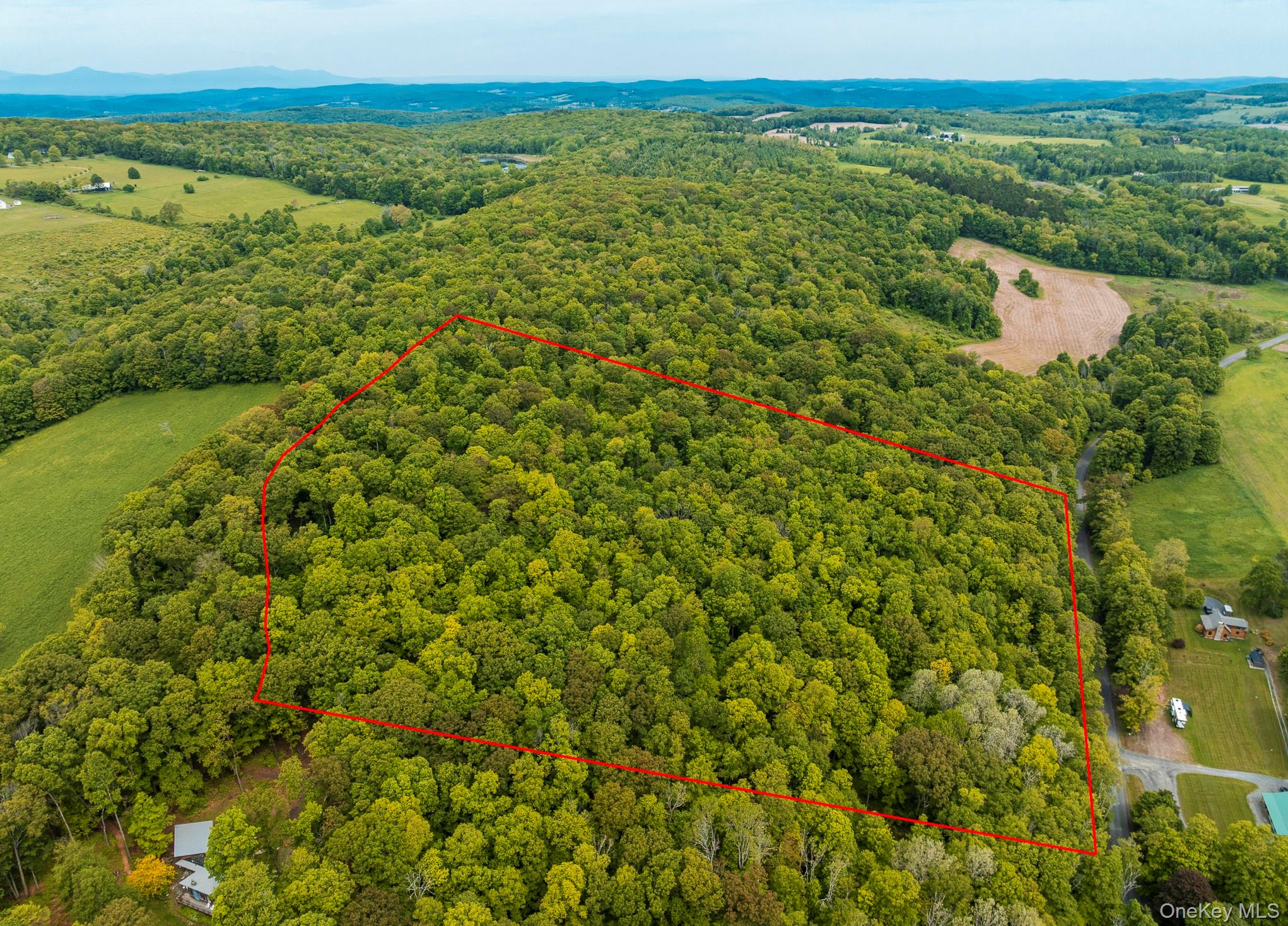 A Skunks Misery Road, Millerton, NY 12546