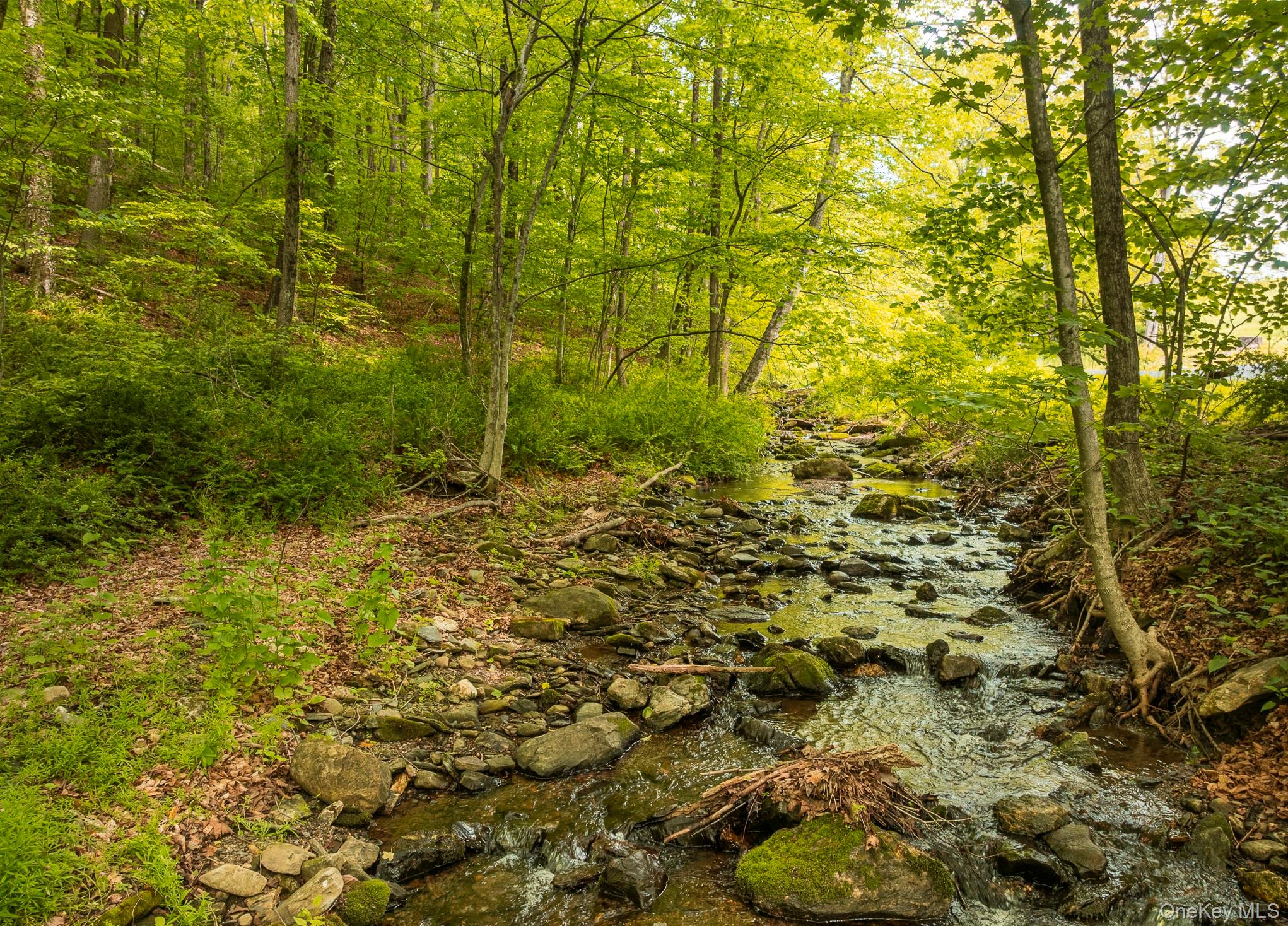 A Skunks Misery Road, Millerton, NY 12546