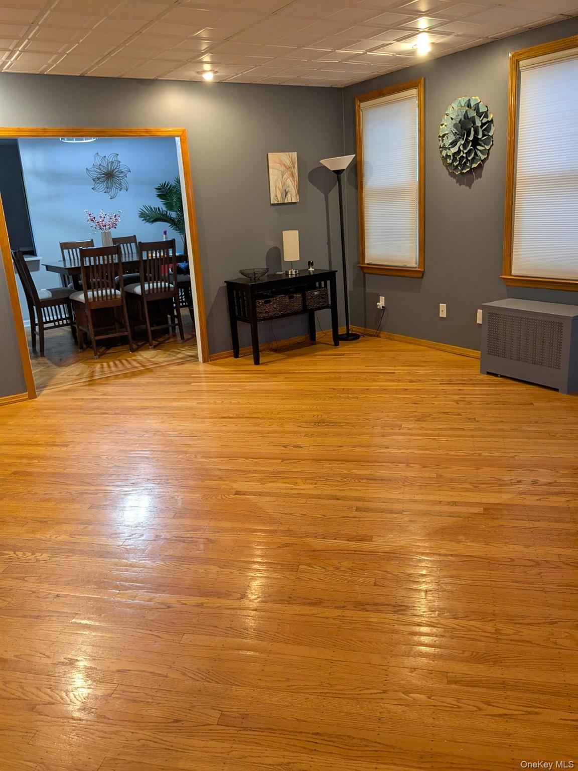 56 Fendale Street, Franklin Square, NY 11010