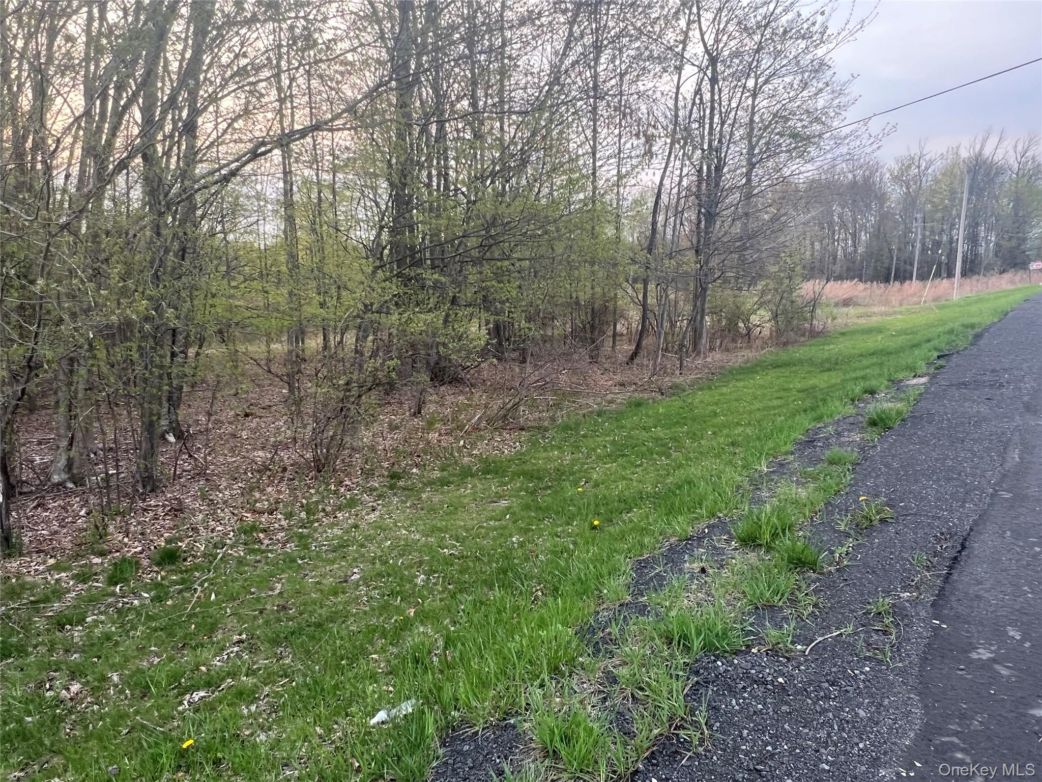 838 Old Liberty Road, Monticello, NY 12701