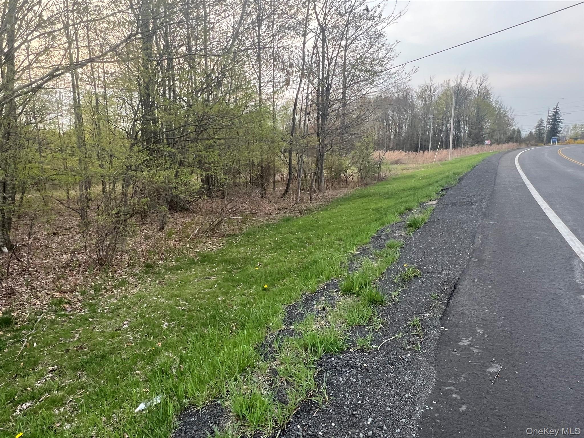 838 Old Liberty Road, Monticello, NY 12701