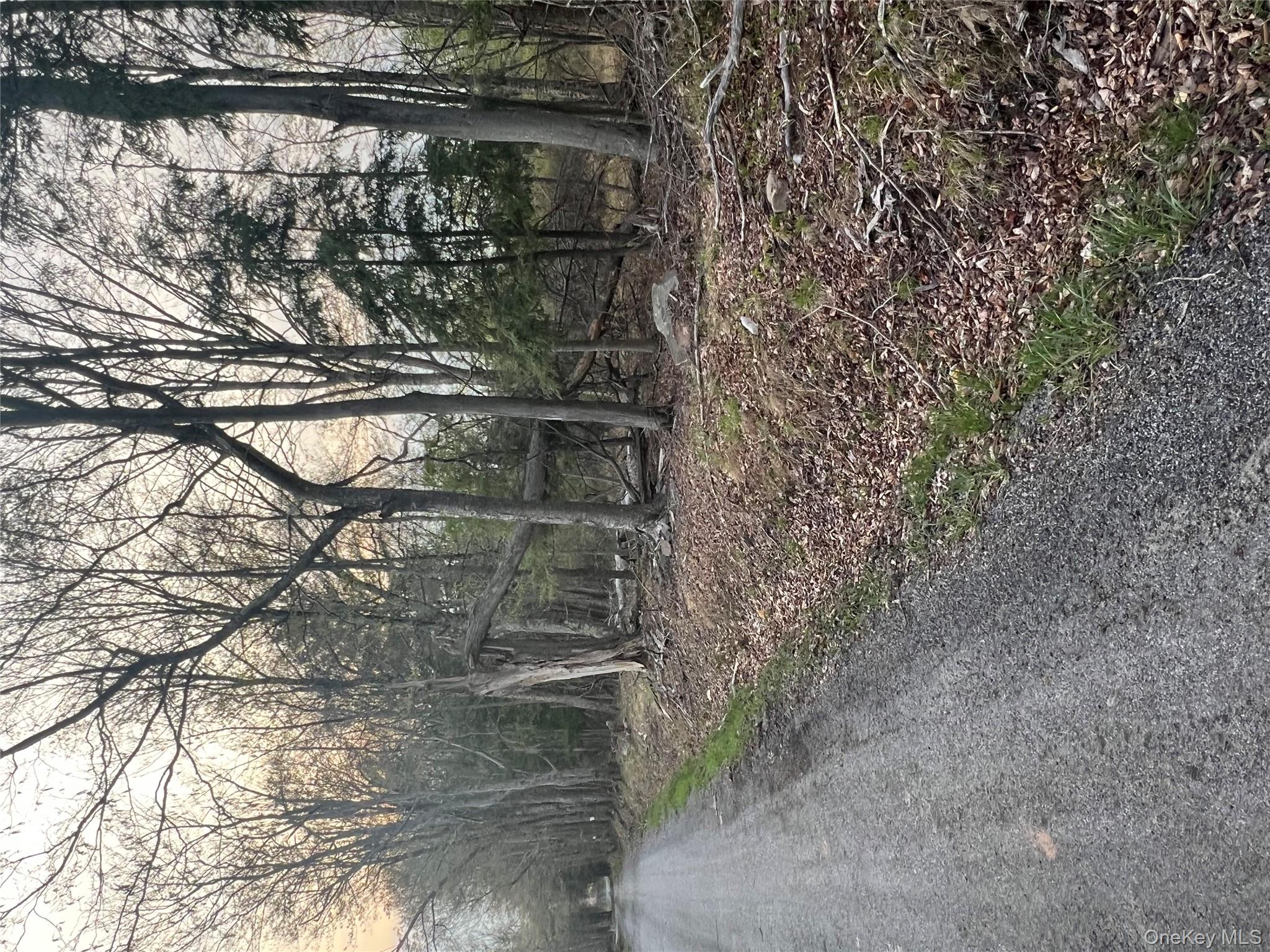 838 Old Liberty Road, Monticello, NY 12701