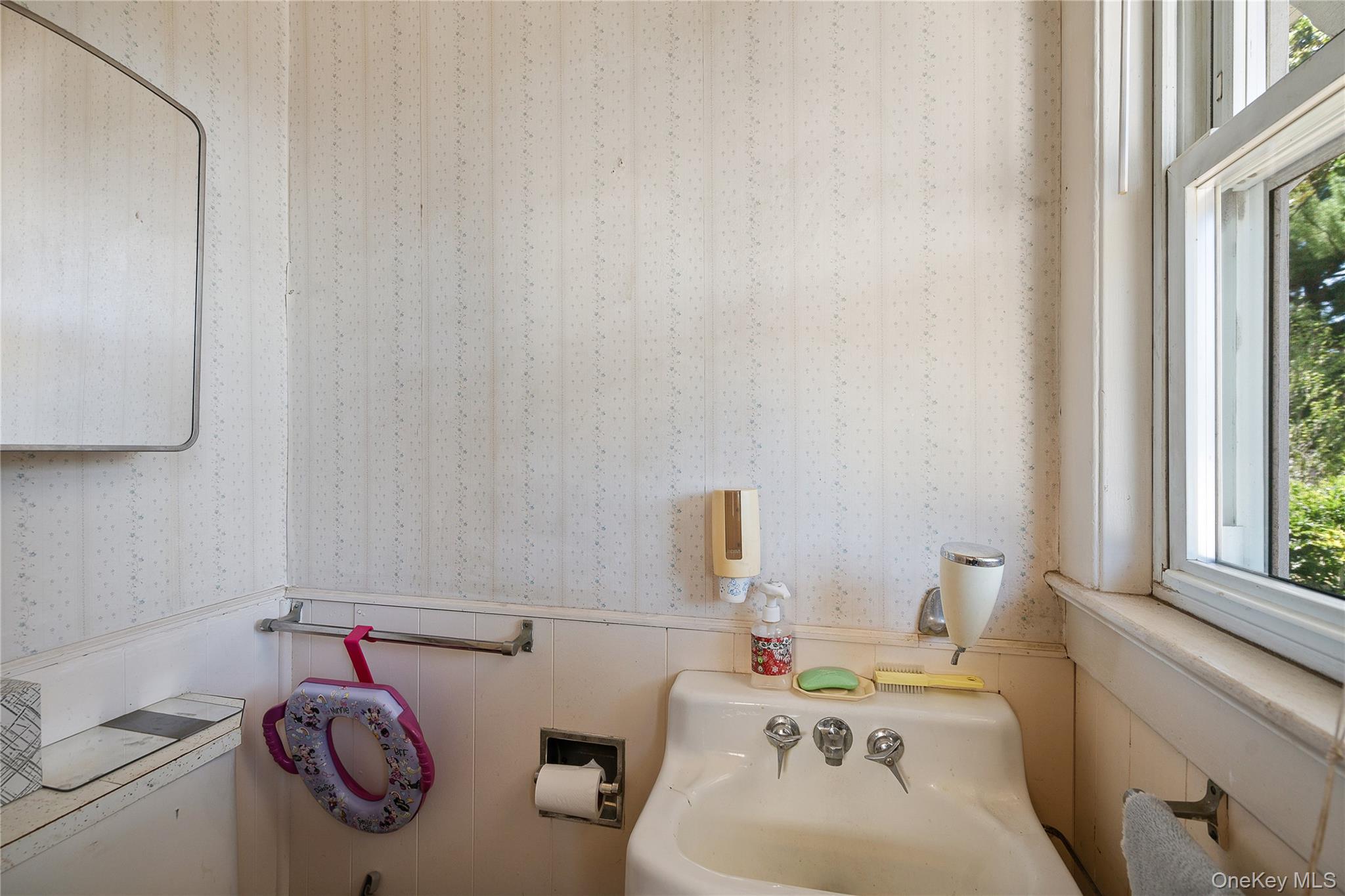 107 Melrose Avenue, East Rockaway, NY 11518