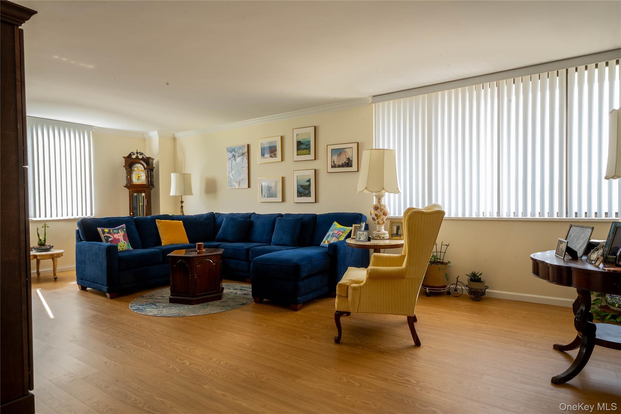 269-10 Grand Central Parkway # 4V, Floral Park, NY 11005