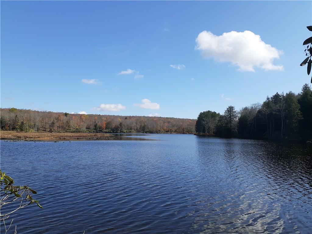 351 White Roe Lake Road, Livingston Manor, NY 12758