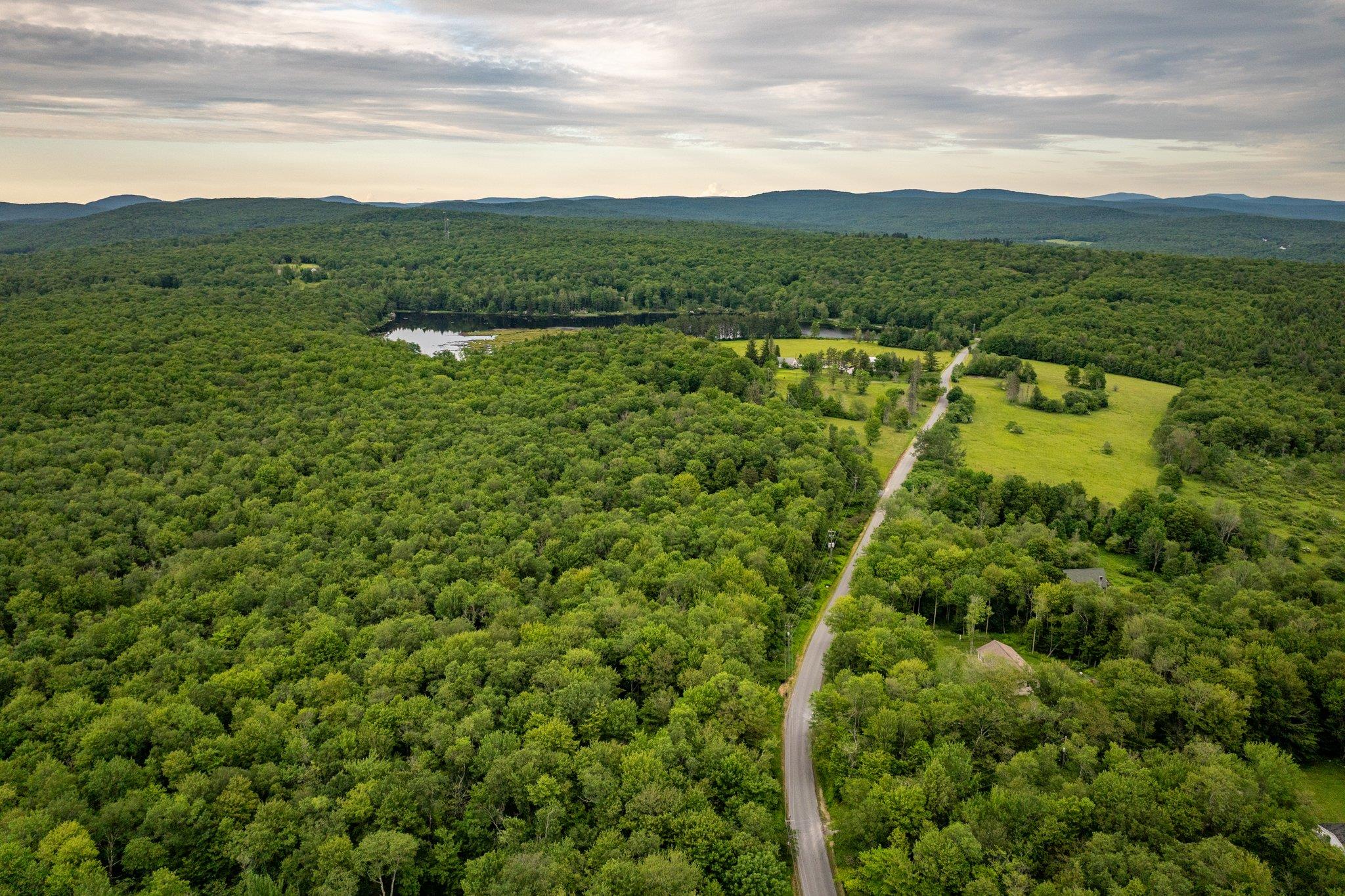 351 White Roe Lake Road, Livingston Manor, NY 12758