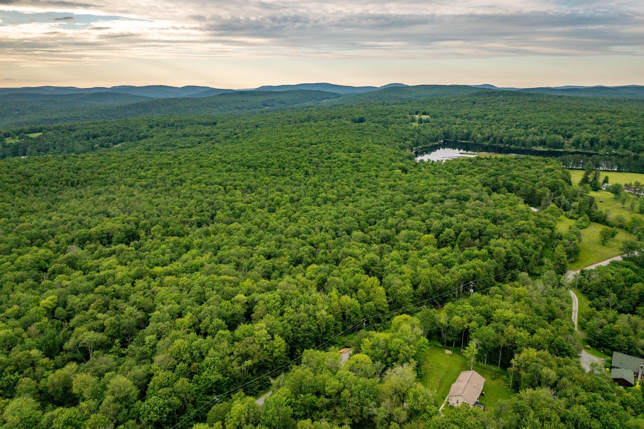 351 White Roe Lake Road, Livingston Manor, NY 12758