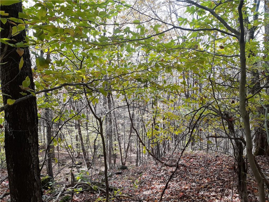 351 White Roe Lake Road, Livingston Manor, NY 12758