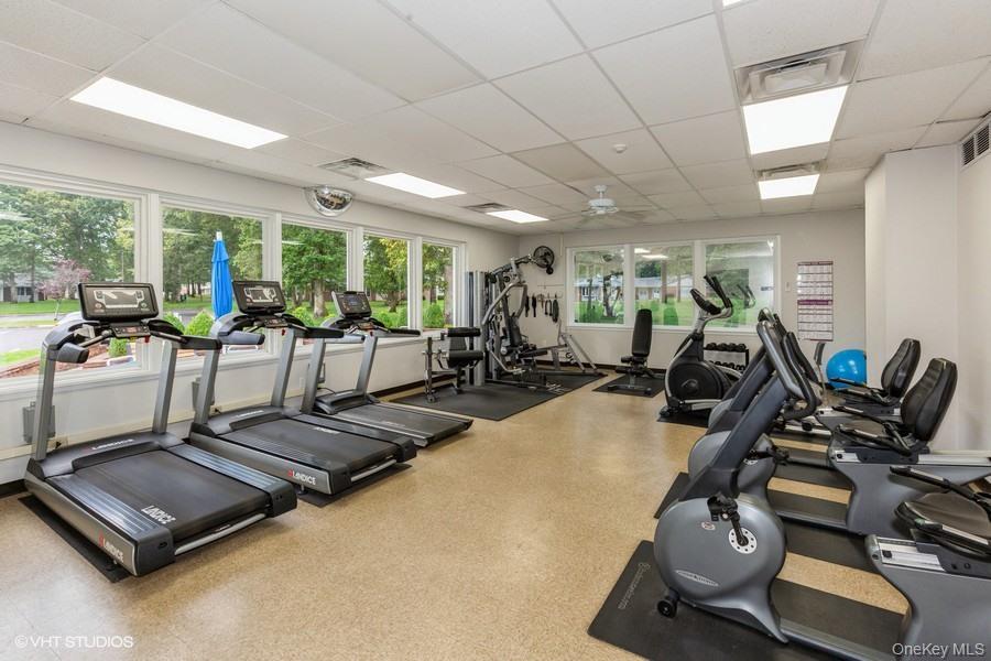 166 Ventry Court # B, Ridge, NY 11961