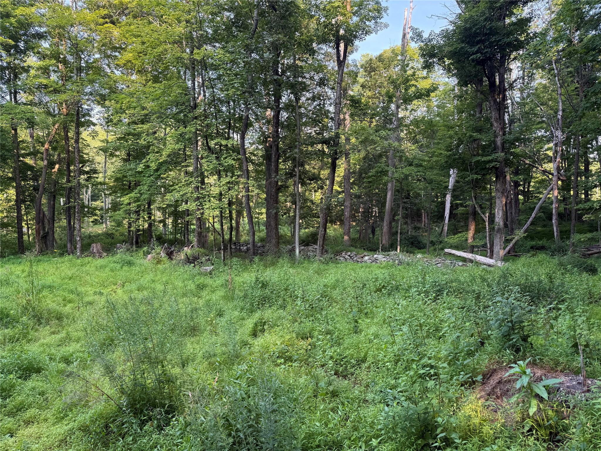 393 County Route 2, Accord, NY 12404