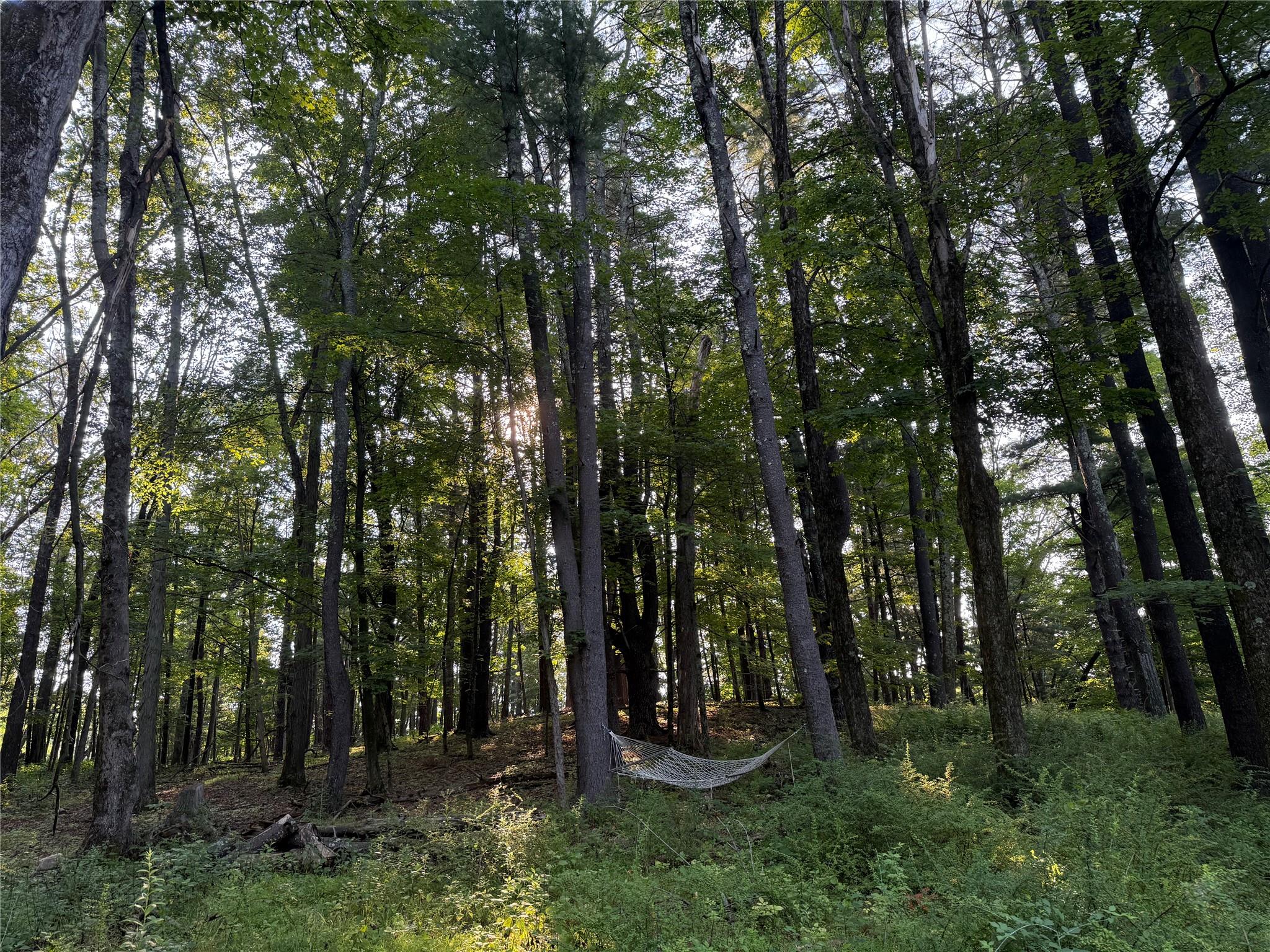 393 County Route 2, Accord, NY 12404