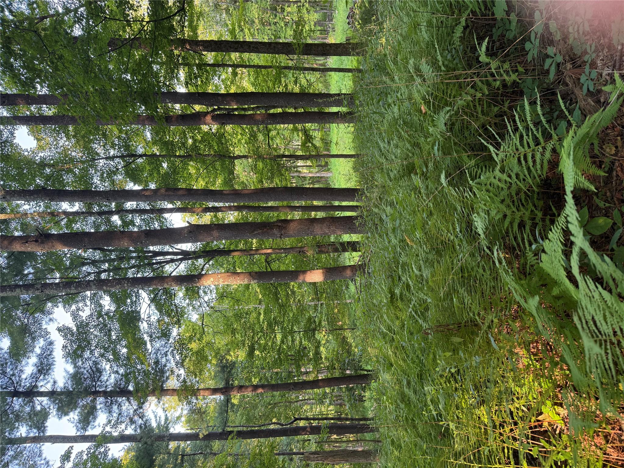 393 County Route 2, Accord, NY 12404