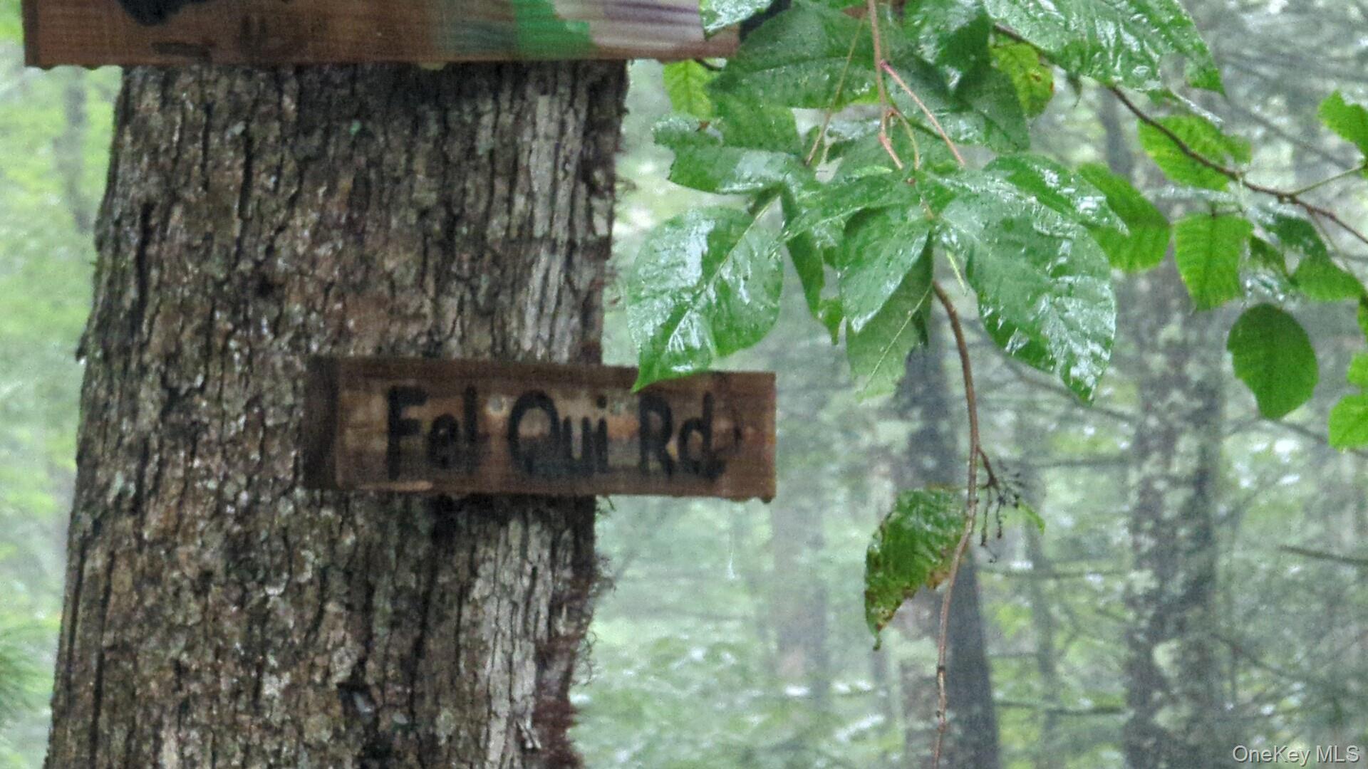 11 Fel Qui Road, Woodstock, NY 12498