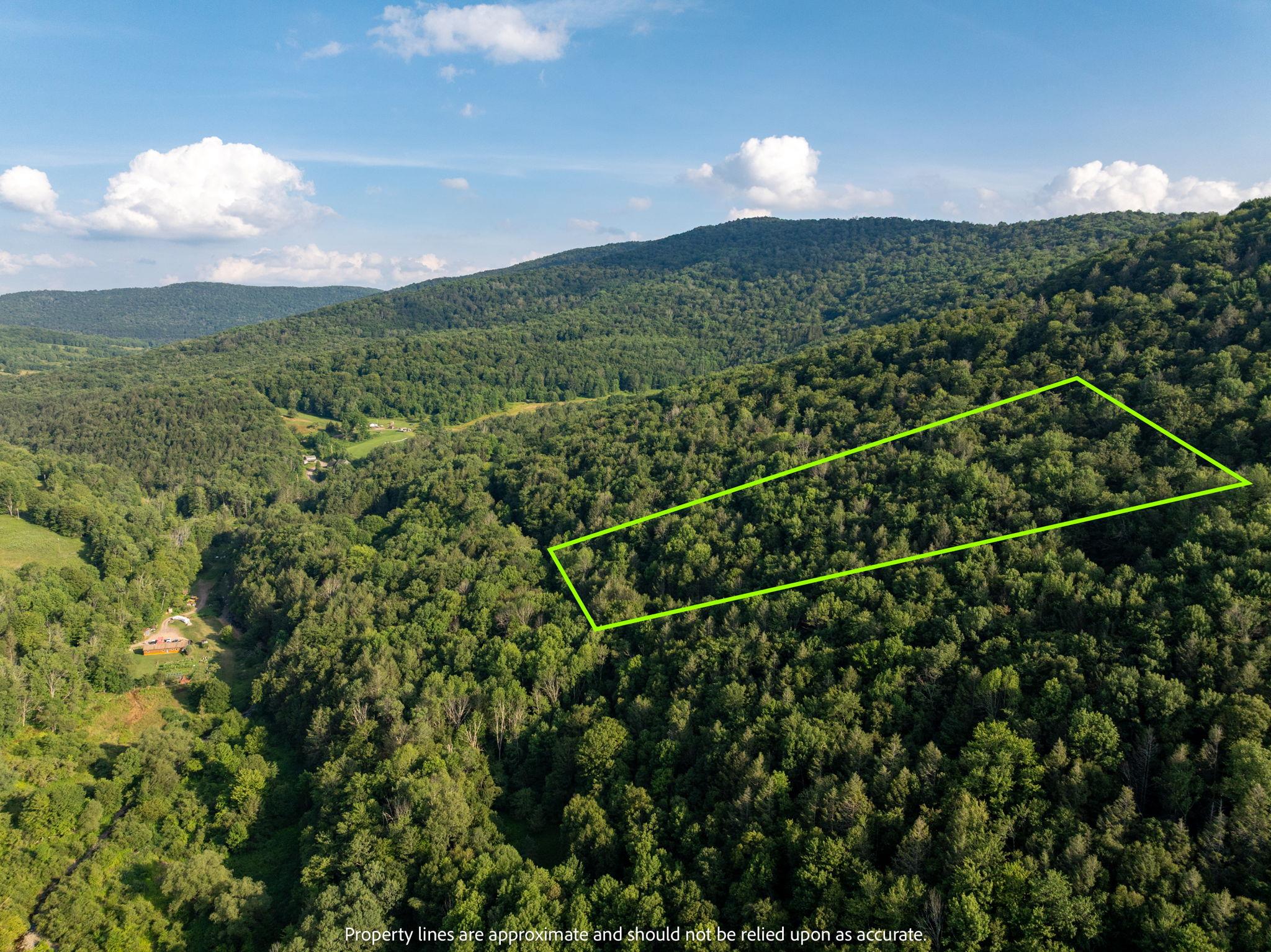 Broad Channel Road, Andes, NY 13731