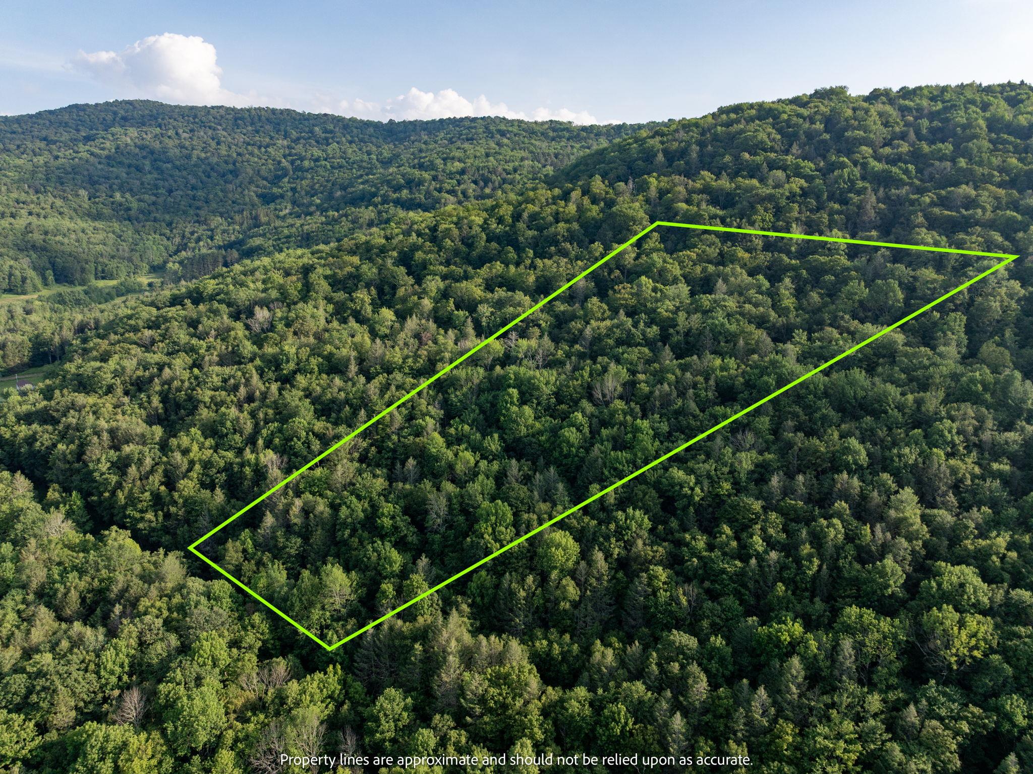 Broad Channel Road, Andes, NY 13731